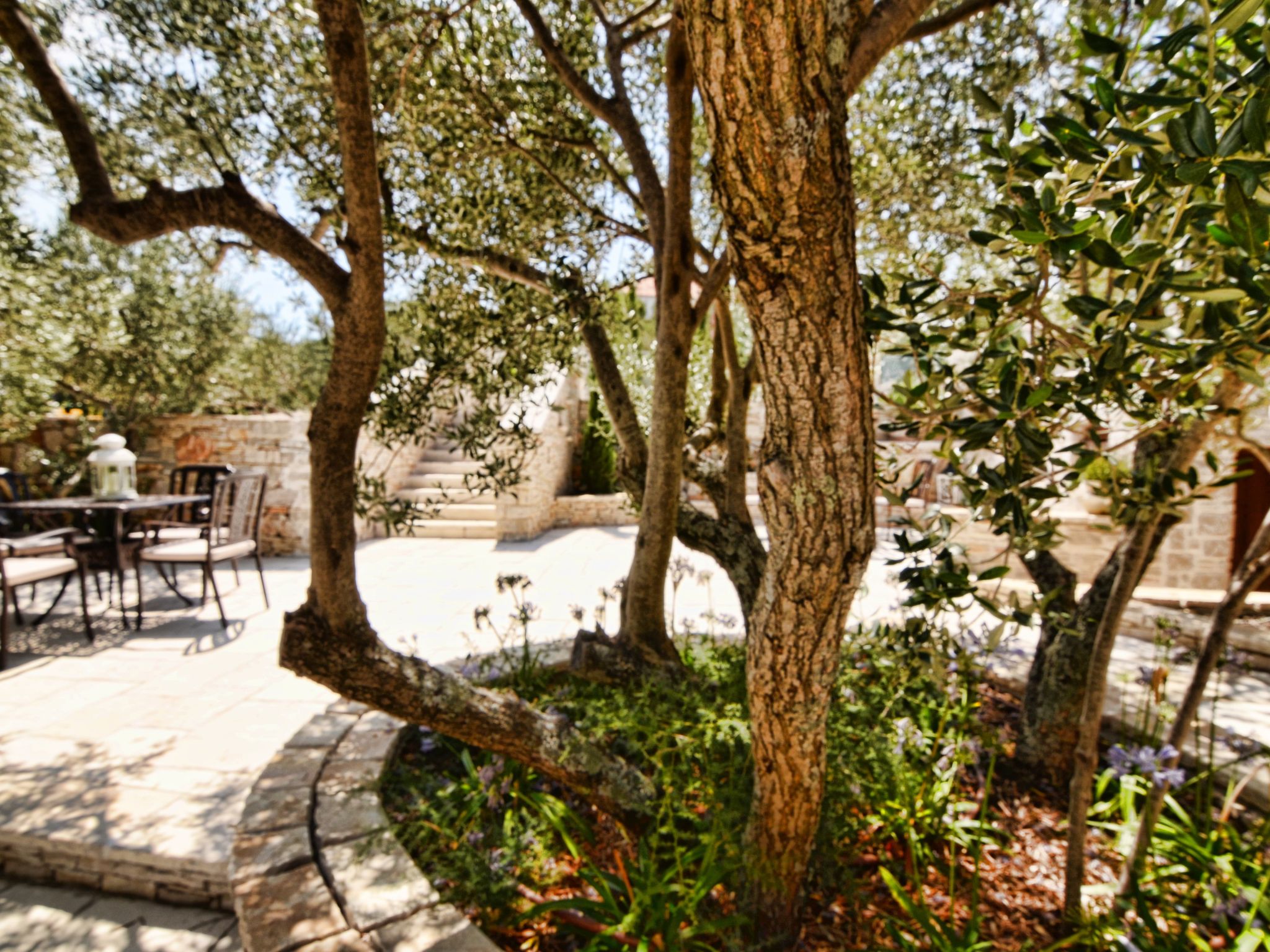 Ferienvilla "Kos Murter"-Image-tags.info