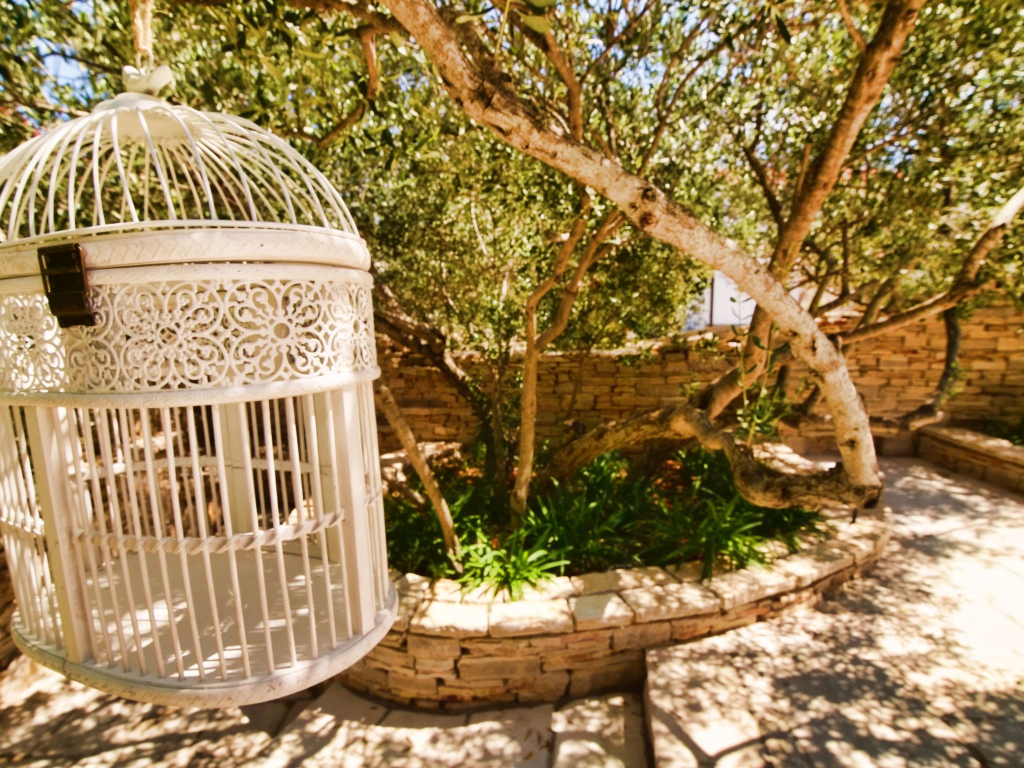 Ferienvilla "Kos Murter"-Image-tags.info