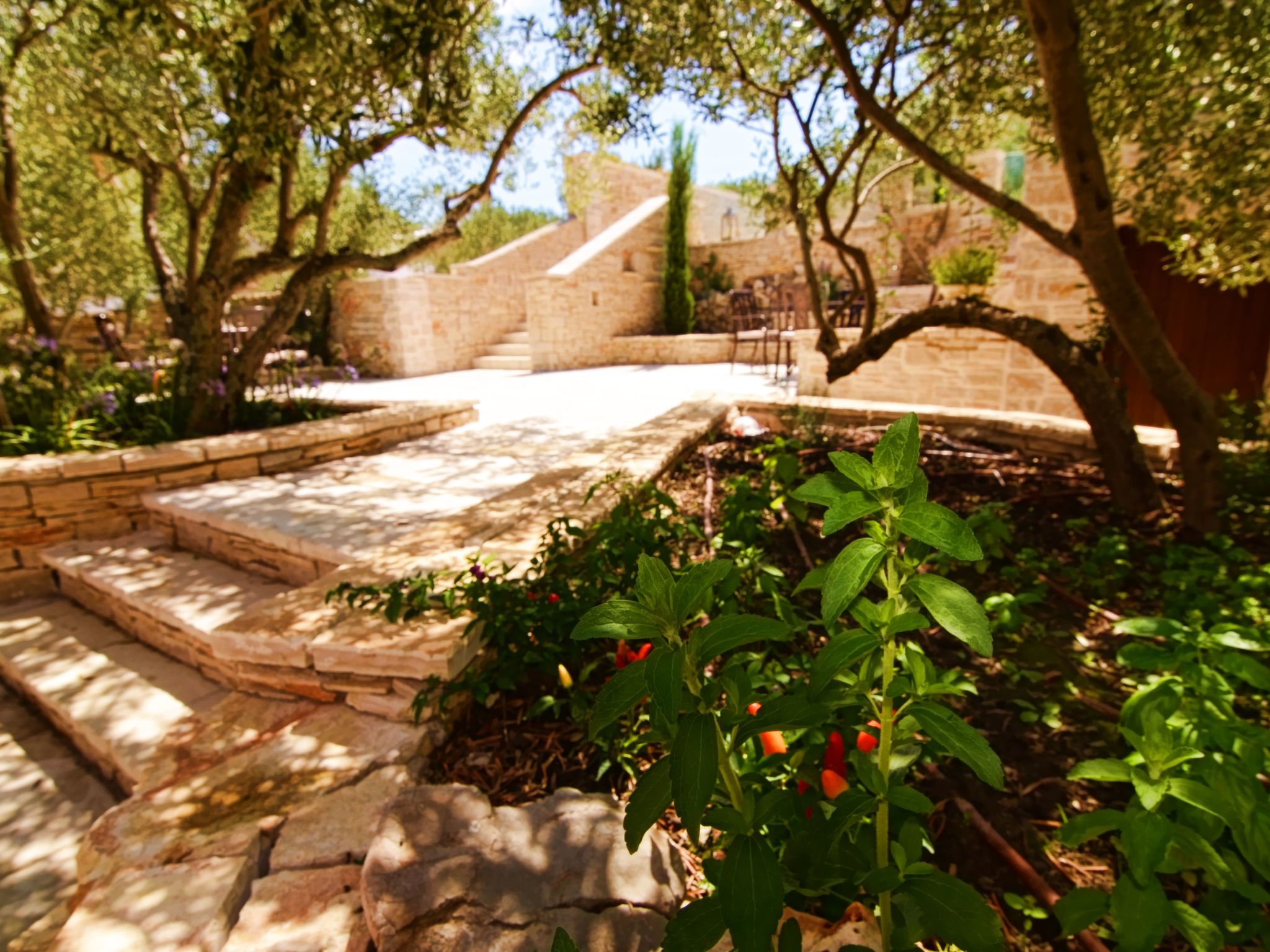 Ferienvilla "Kos Murter"-Image-tags.info