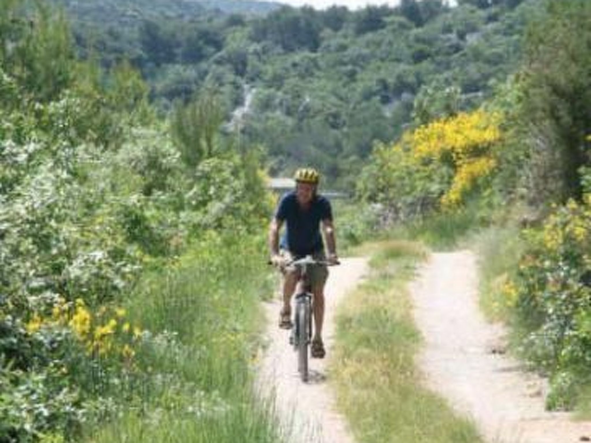 Strandappartement Ana mit Meerblick, Garten, Grillplatz-Image-tags.info