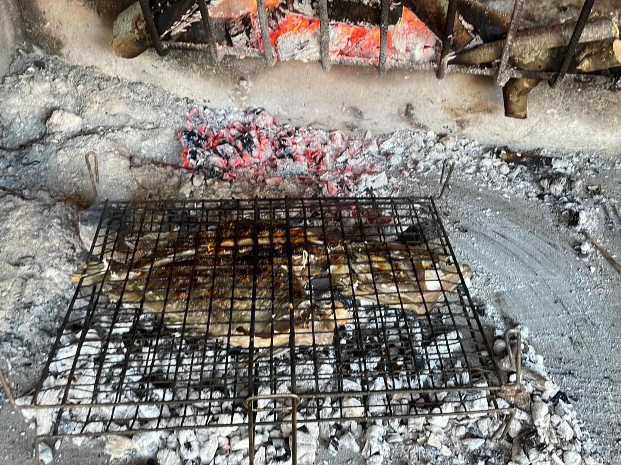 Strandhaus Danica - Ferienanlage Bain, Žut - Kornati-Binnen