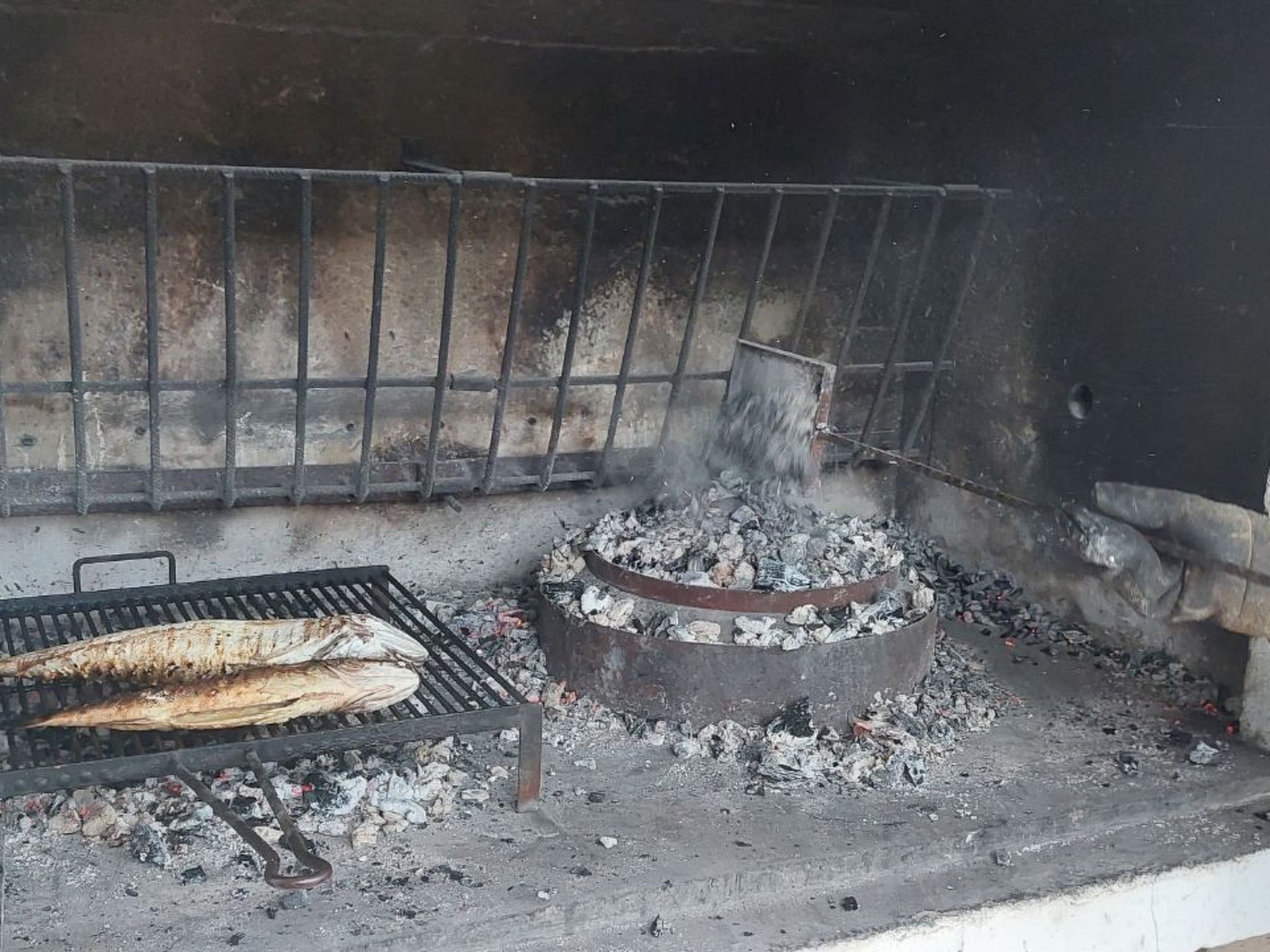 Strandhaus Sofia - Ferienanlage Bain, Žut - Kornati-Binnen
