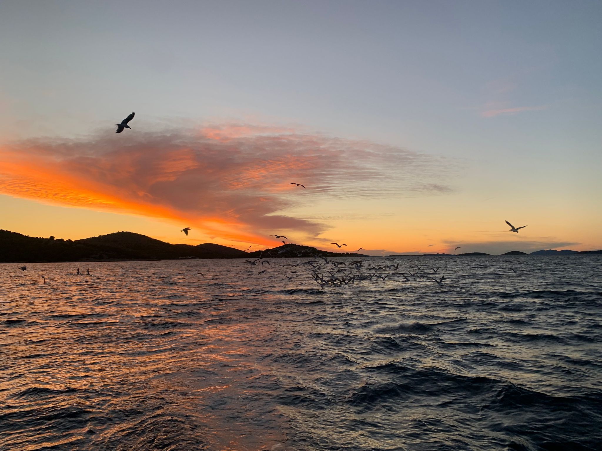 Strandhaus Hela - Ferienanlage Bain, Žut - Kornati-Binnen