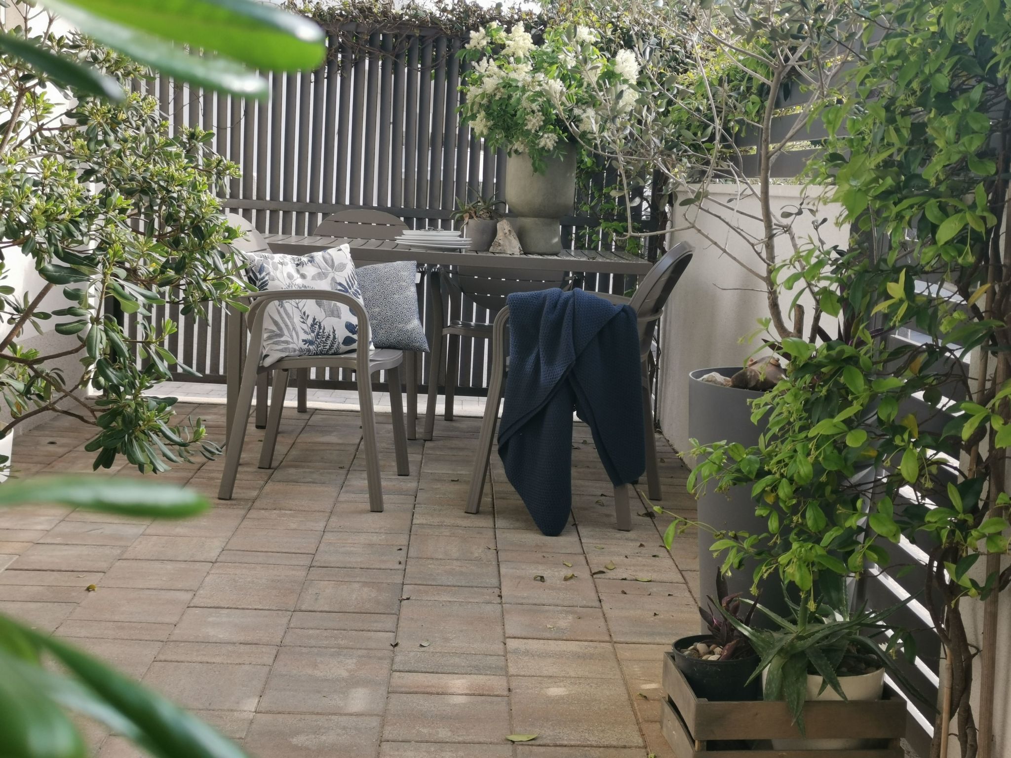 Deluxe-Apartment - moderne und stilvolle Unterkunft-Binnen