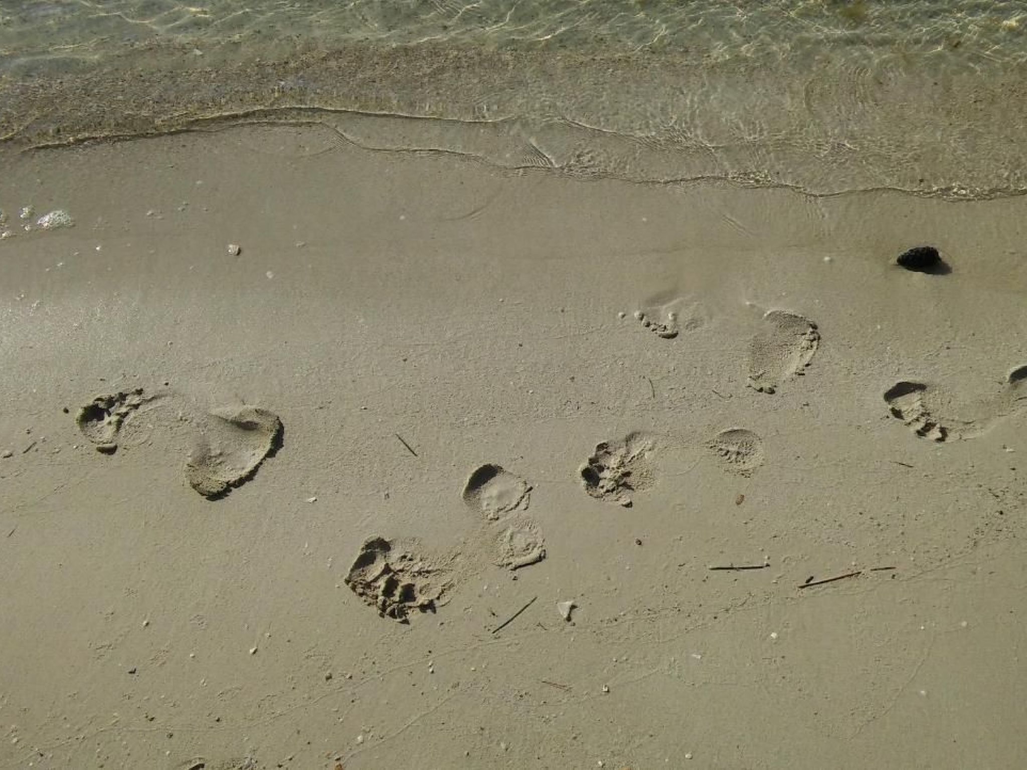 Deluxe-Apartment - moderne und stilvolle Unterkunft-Binnen