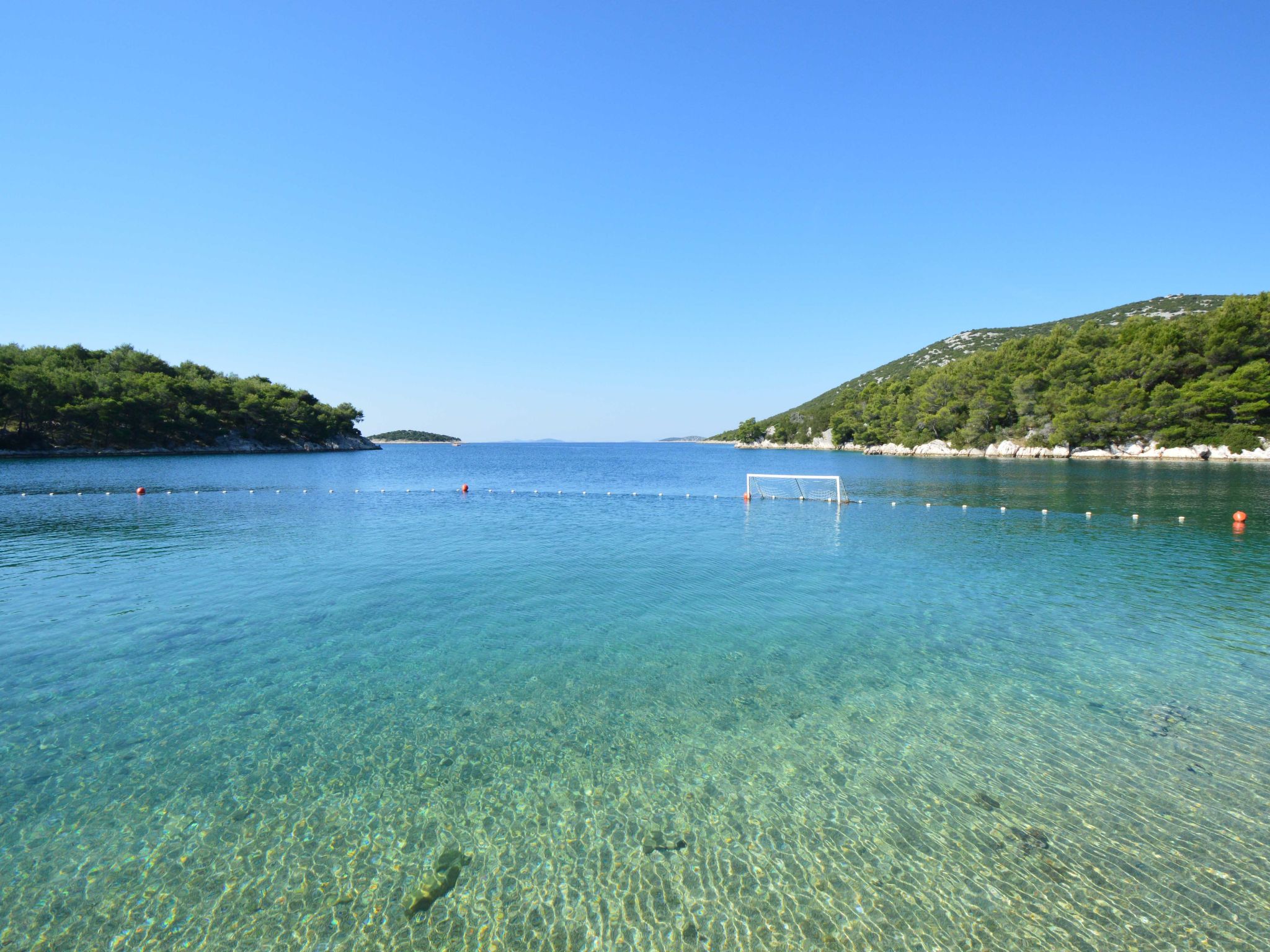 Mit Balkon in guter Lage-Area