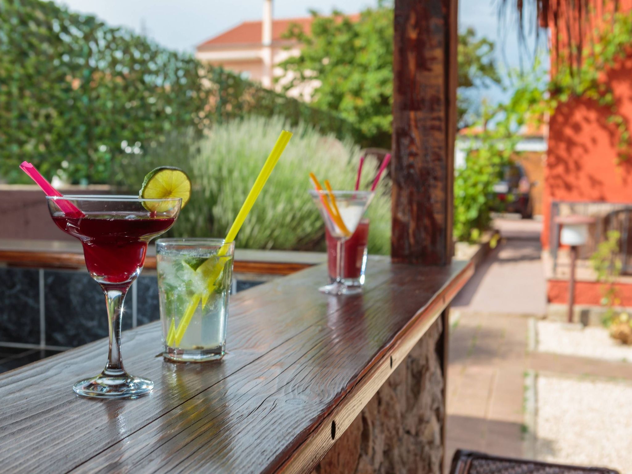 Providenca-Image-tags.info