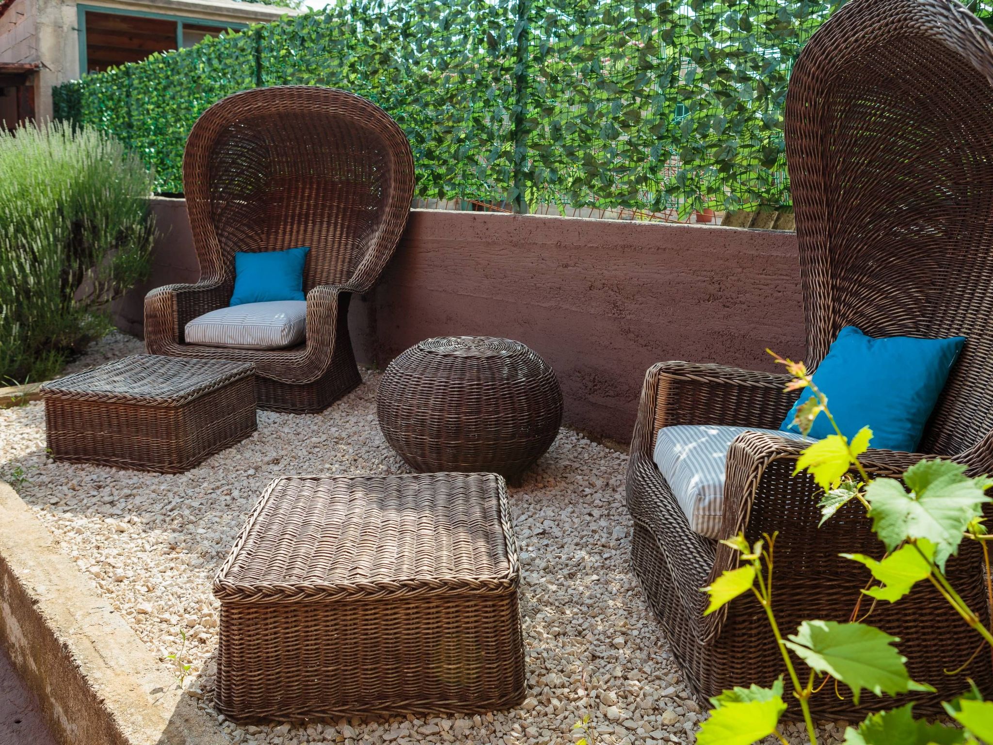 Providenca-Image-tags.info