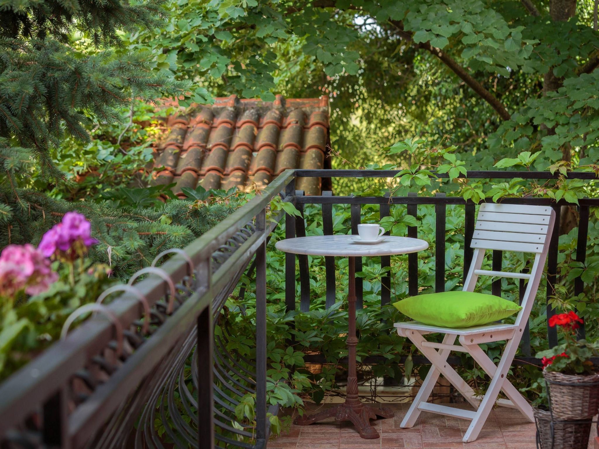 Providenca-Image-tags.info