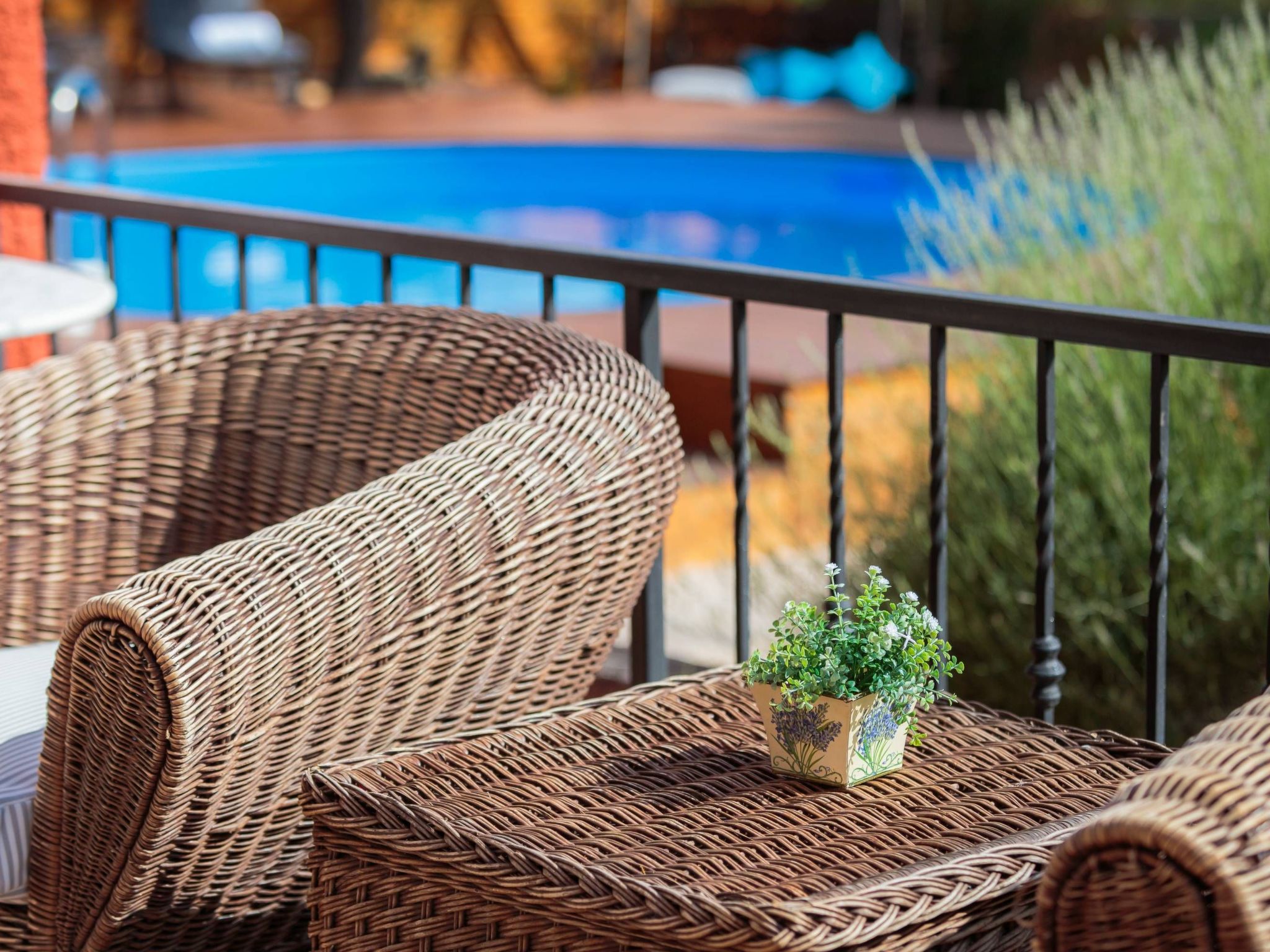 Providenca-Image-tags.info