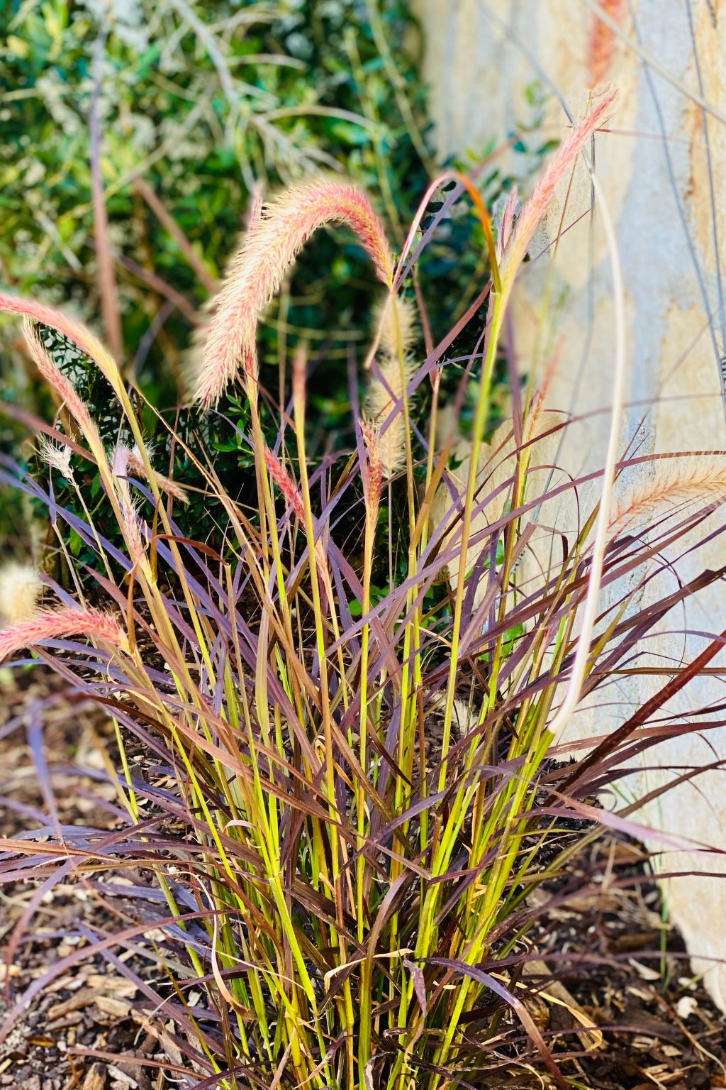 Großes Ferienhaus zur alleinigen Nutzung mit Pool-Binnen