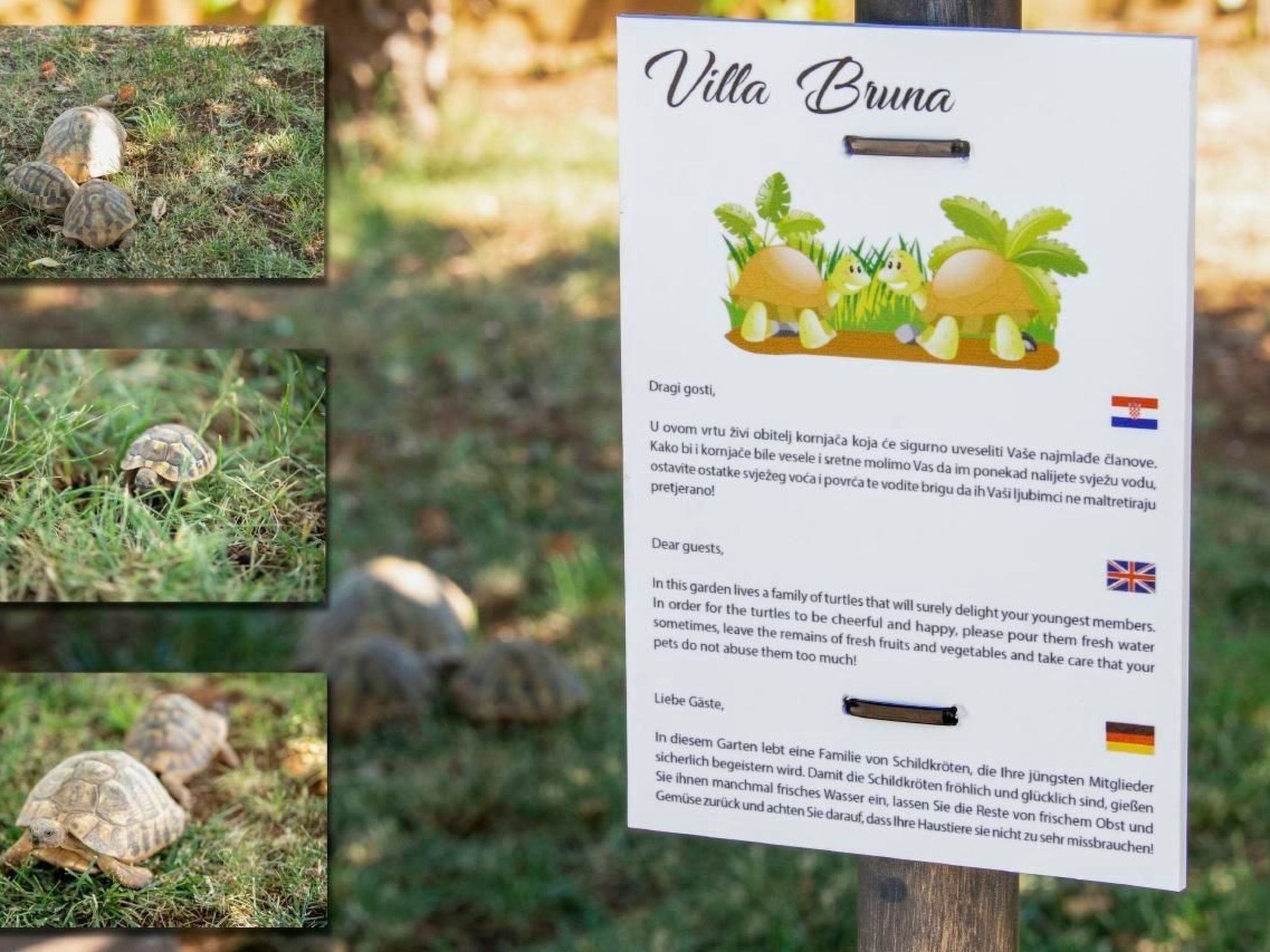 Villa "Bruna" mit privatem Pool-Binnen