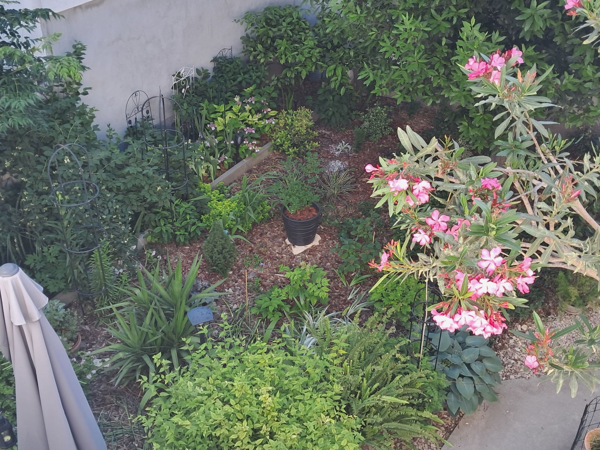 Wohnung "Sibenik centar"-Image-tags.info