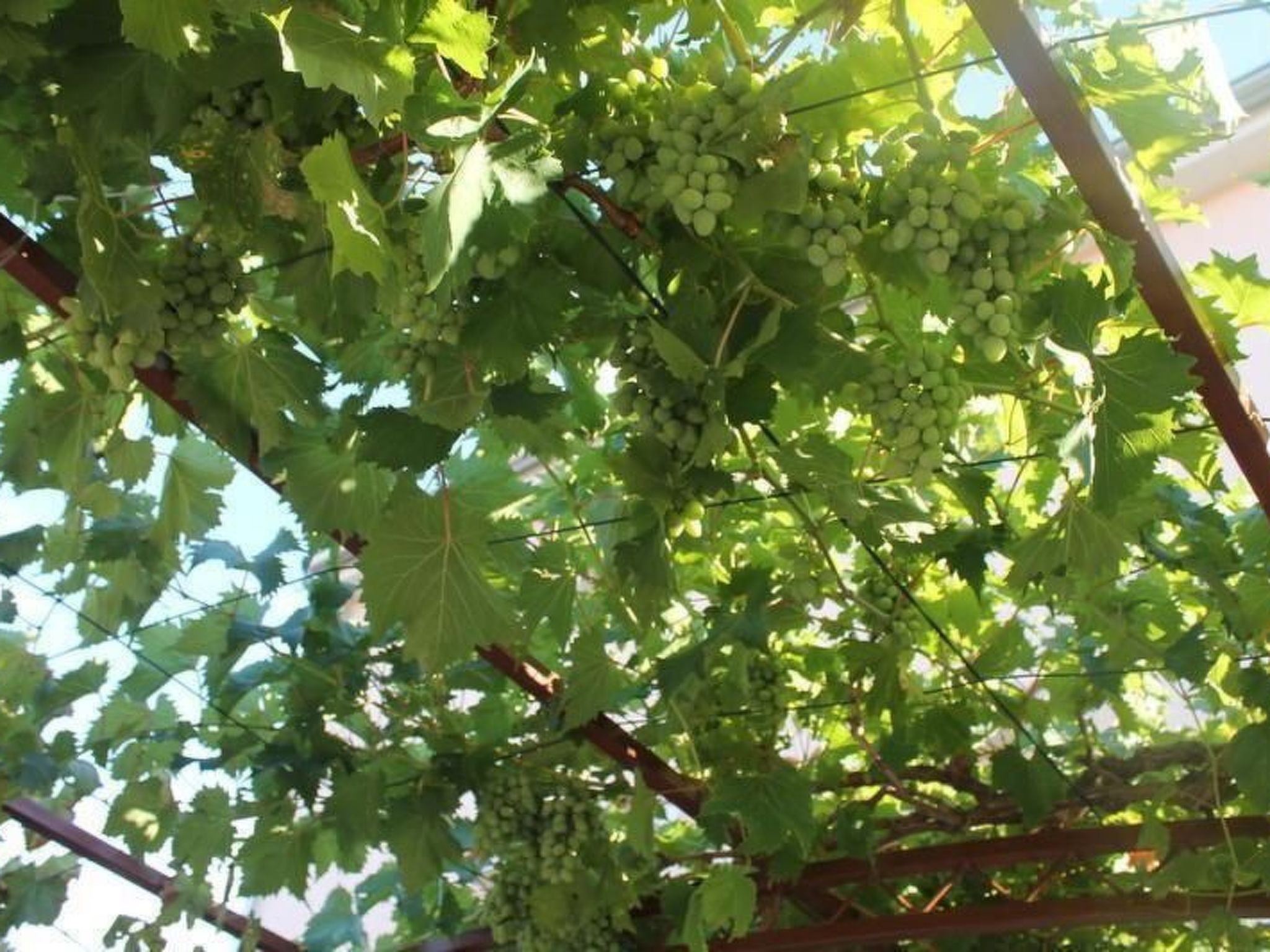 Wohnung Jadrija mit zwei Balkonen in Strandnähe-Binnen