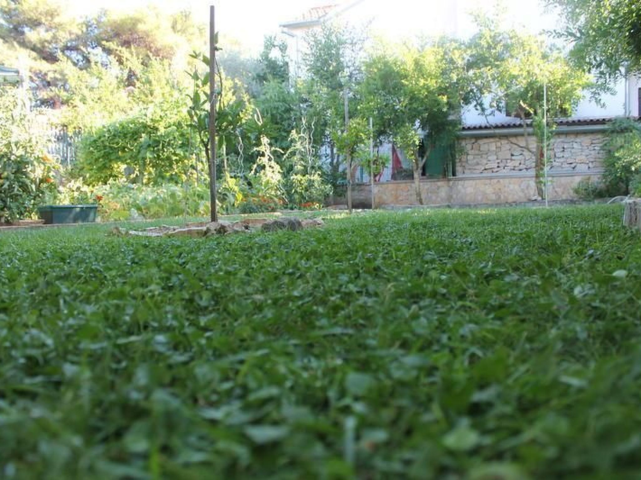 Wohnung Jadrija mit zwei Balkonen in Strandnähe-Binnen
