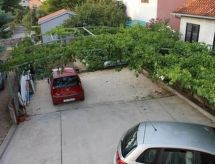 Knus appartement vlakbij zee voor 3+1 in Žaborić, Dalmatië - thumbnail 3