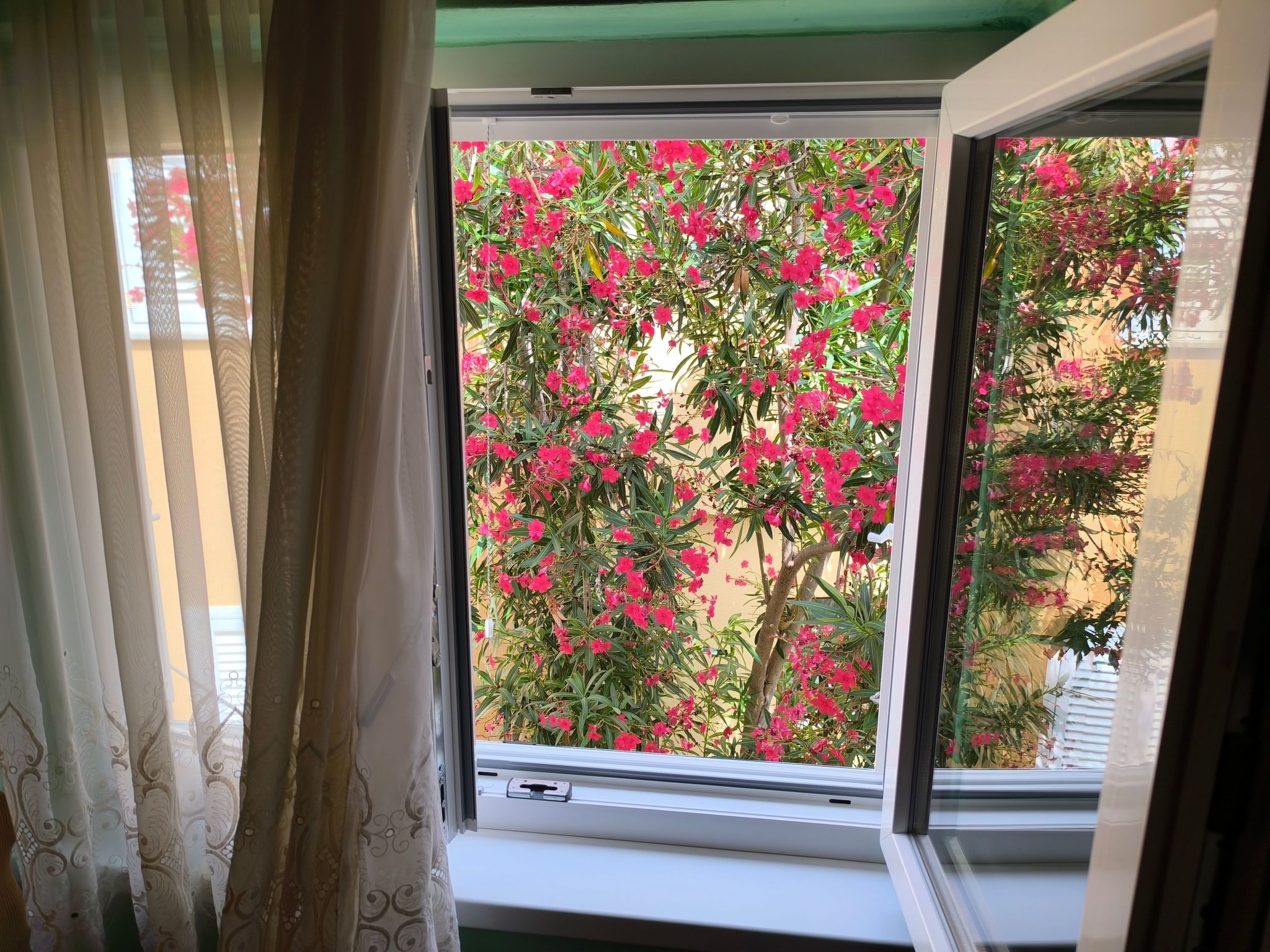 Für 3 Personen  + 1 Kind ca. 68 m&sup2; in Žaboric, Dalmatien (Gespanschaft Sib-Dedans