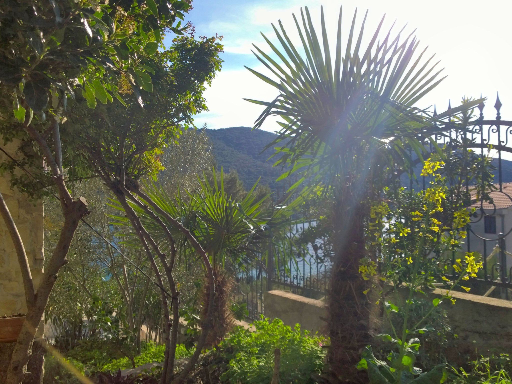 Mit einer überdachten Terrasse-Image-tags.info