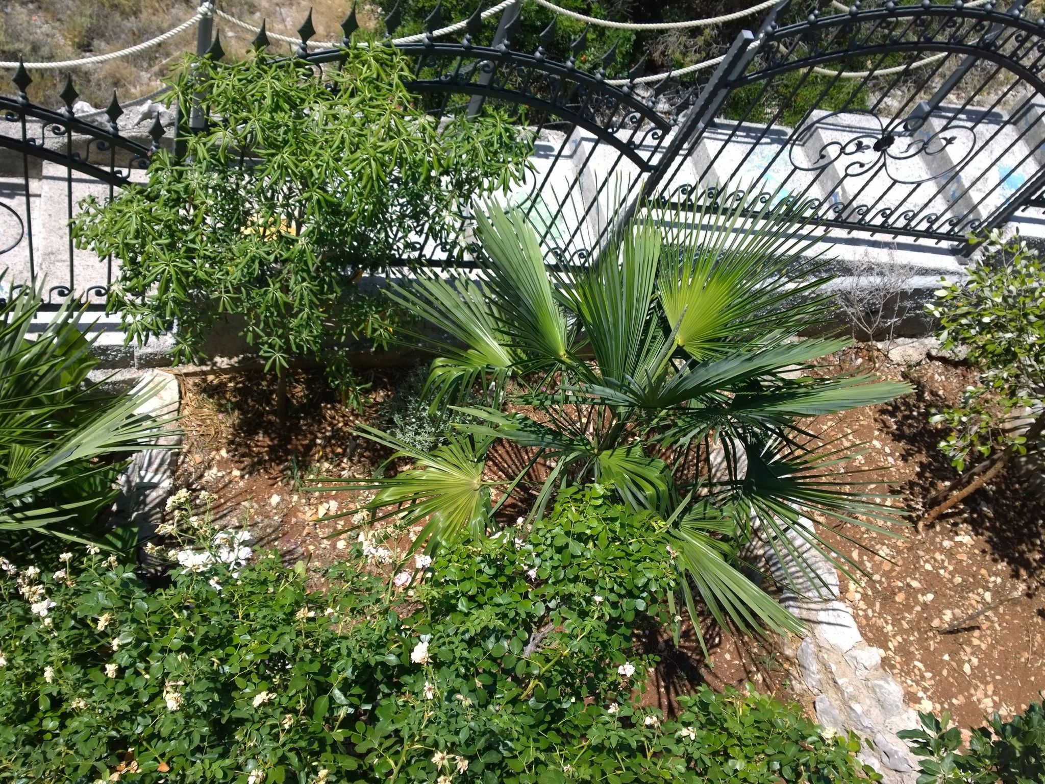 Mit einer überdachten Terrasse-Image-tags.info