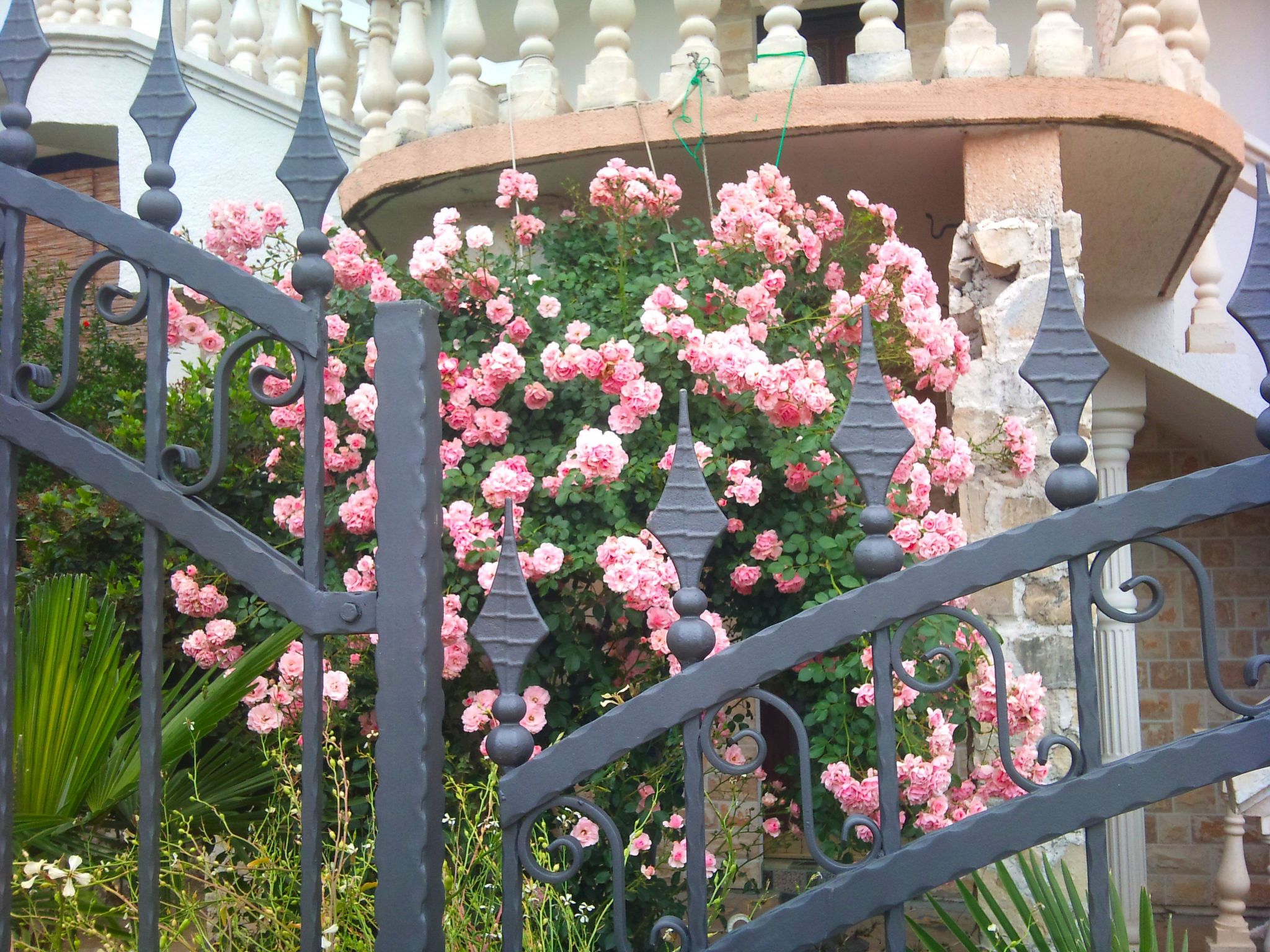 Mit einer überdachten Terrasse-Image-tags.info