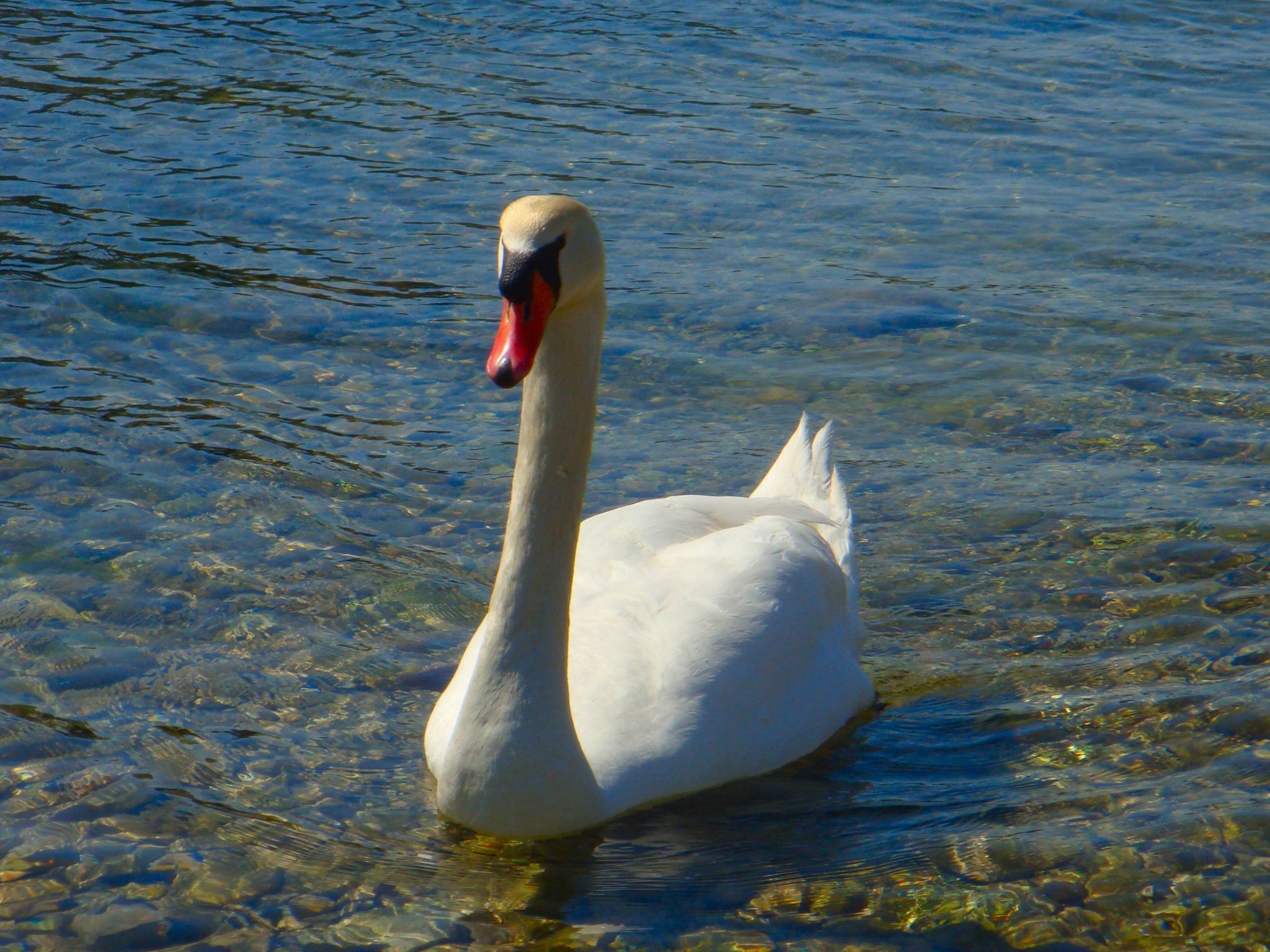Mit einer überdachten Terrasse-Image-tags.info