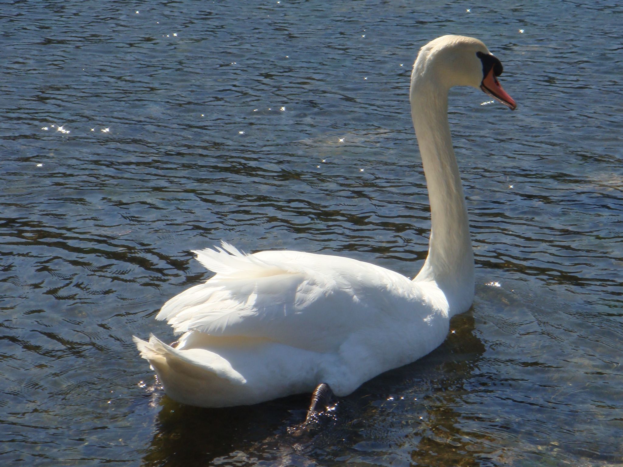 Mit einer überdachten Terrasse-Image-tags.info