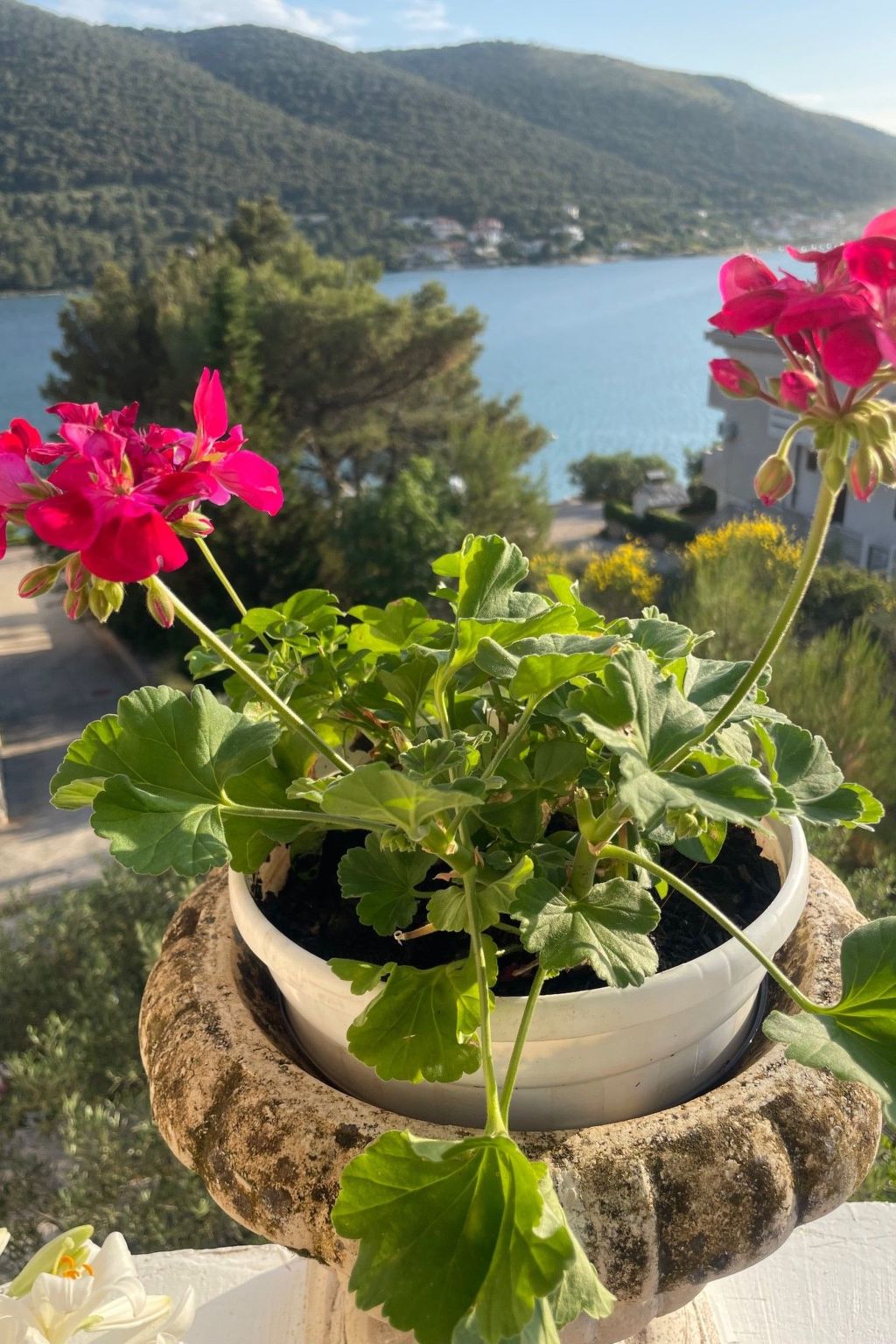 Mit einer überdachten Terrasse-Image-tags.info