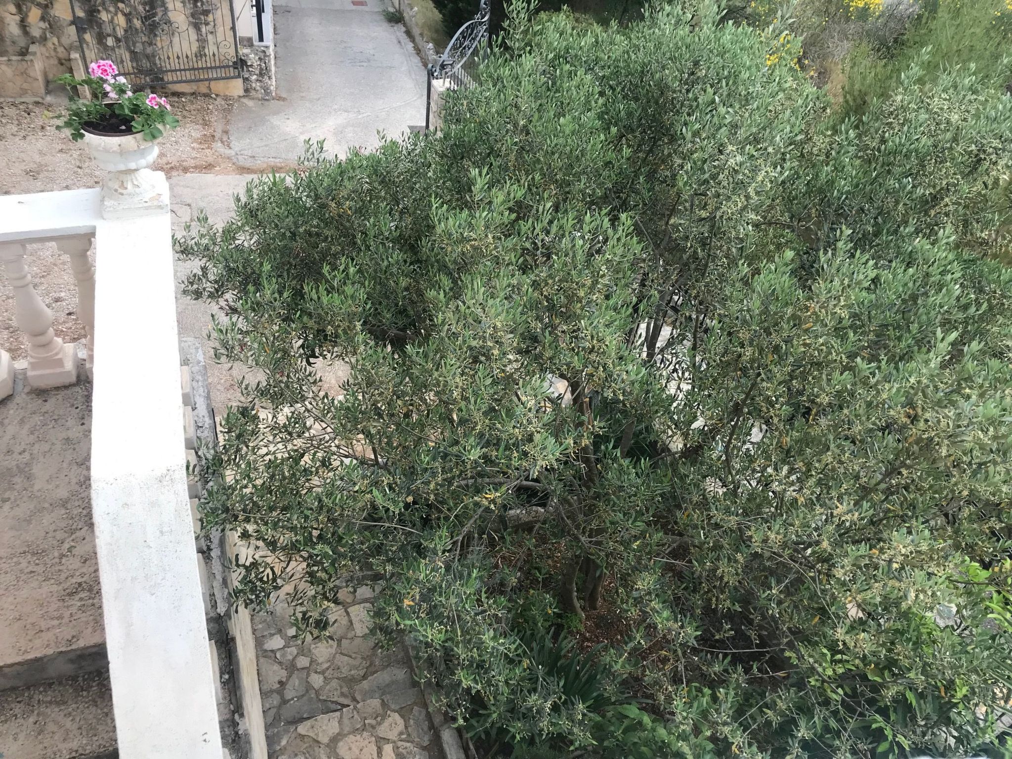 Mit einer überdachten Terrasse-Image-tags.info