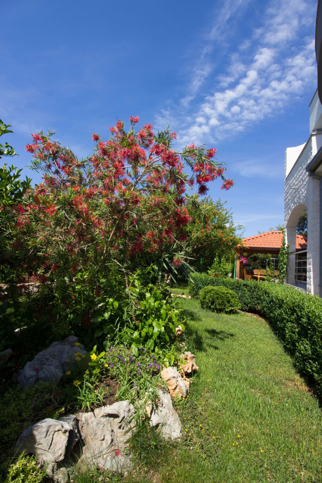 Mit Blick auf das Wasser-Image-tags.info