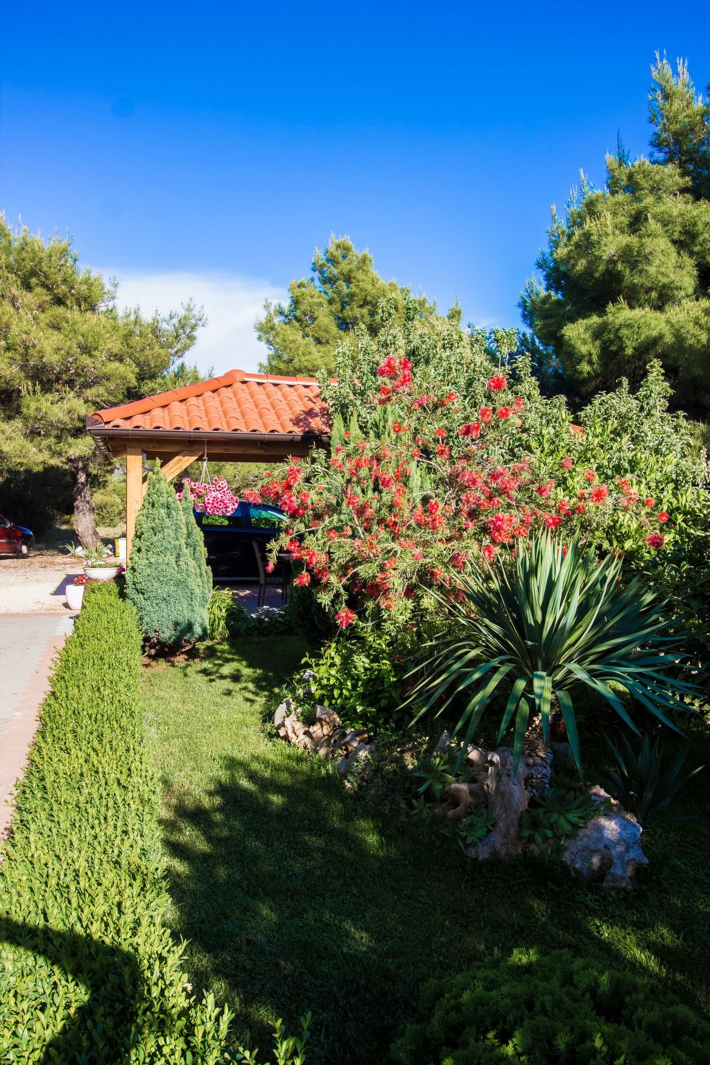 Mit Blick auf das Wasser-Image-tags.info