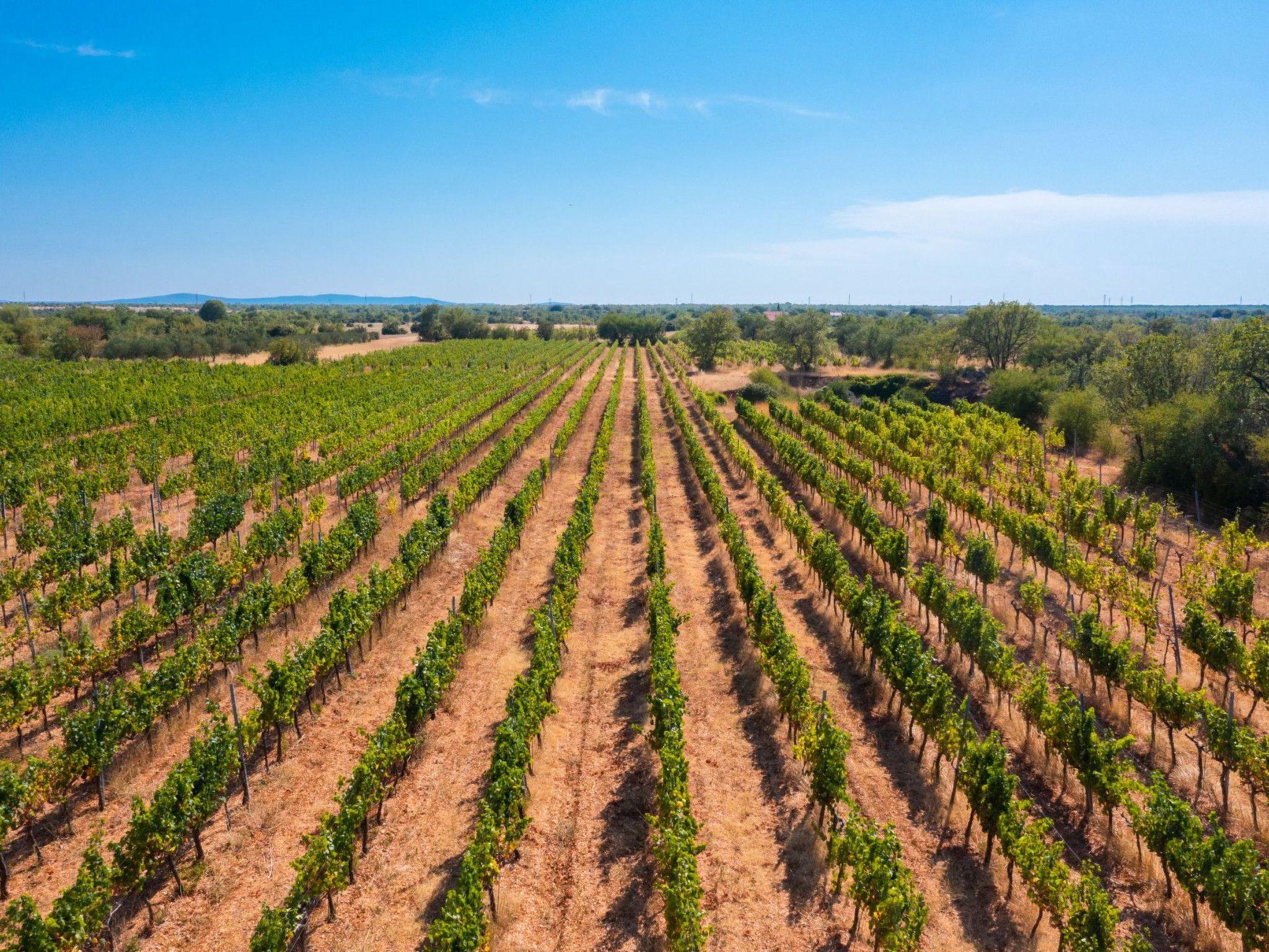 Haus für 11 Personen und 1 Kind in Razvode-Inside