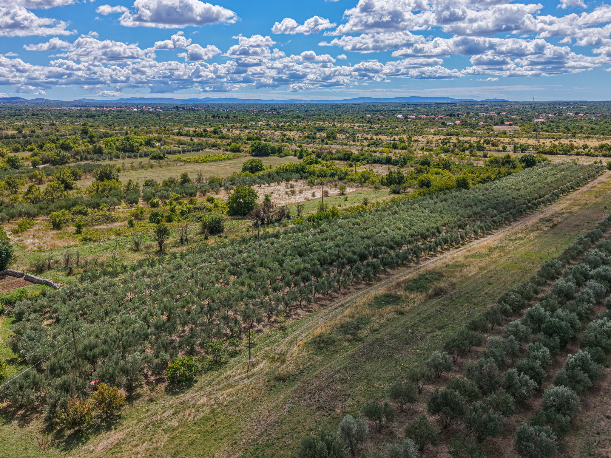 Rural Villa Olive Krka-Draußen