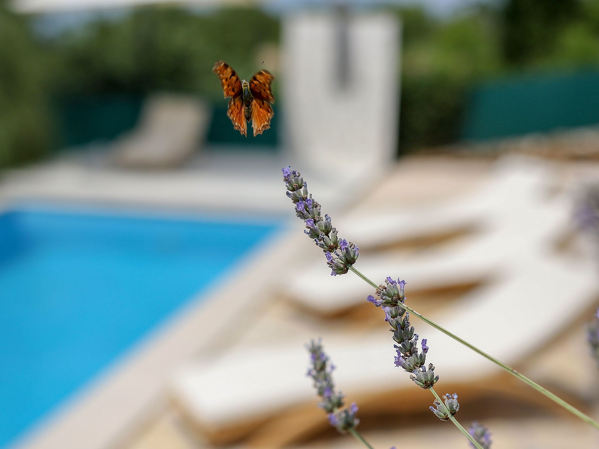Gemütliche Villa Gabriel mit Schwimmbad-Drinnen