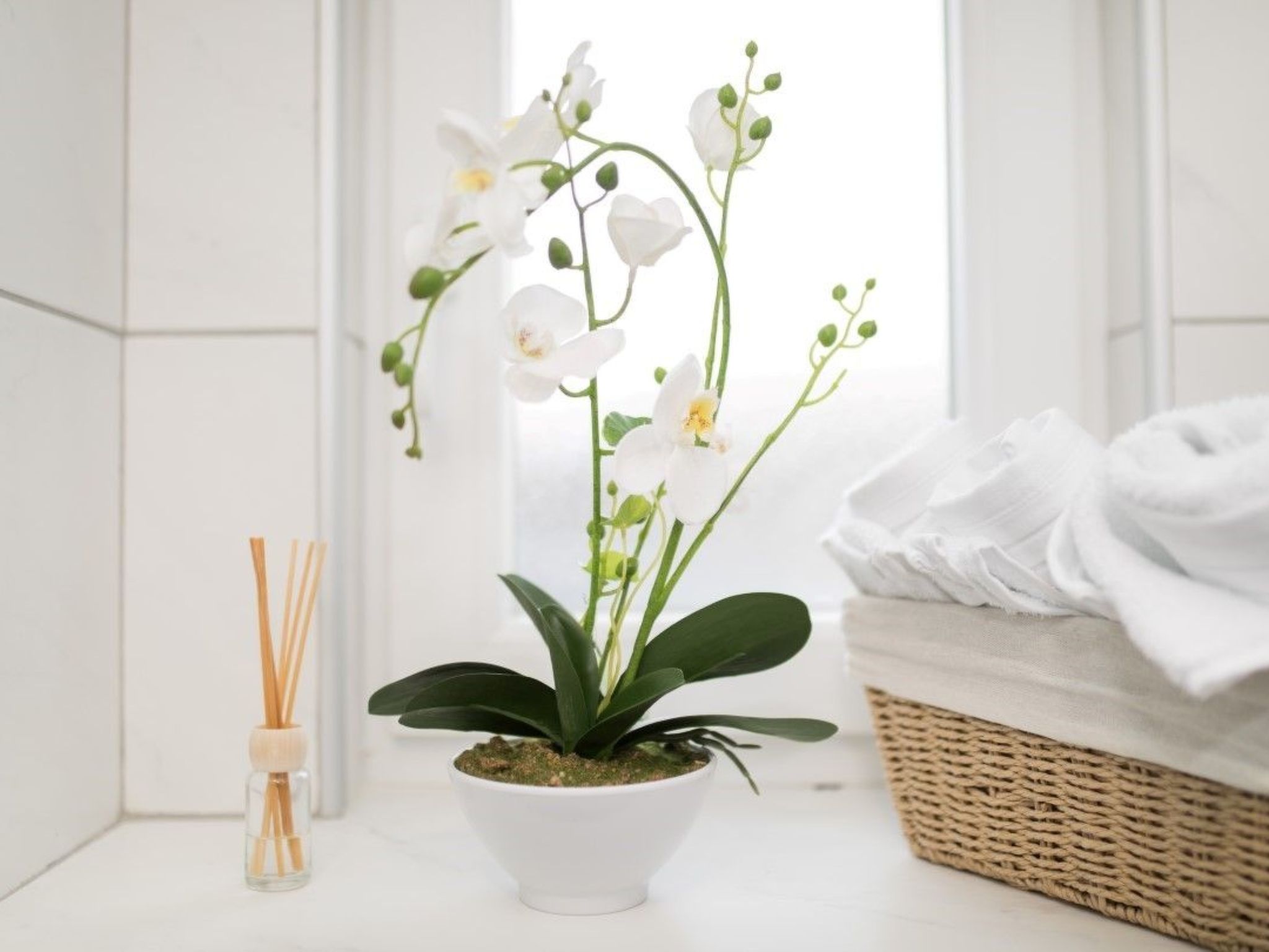 In Primošten mit privatem Pool-Binnen