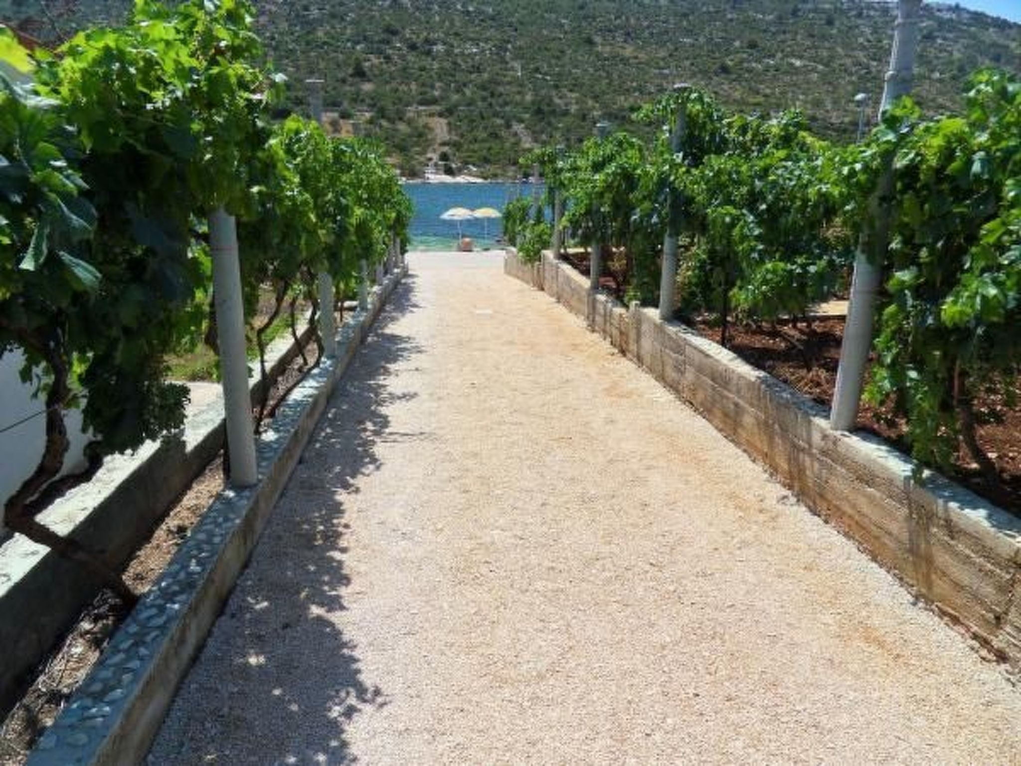 Mit Blick auf das Wasser-Image-tags.info