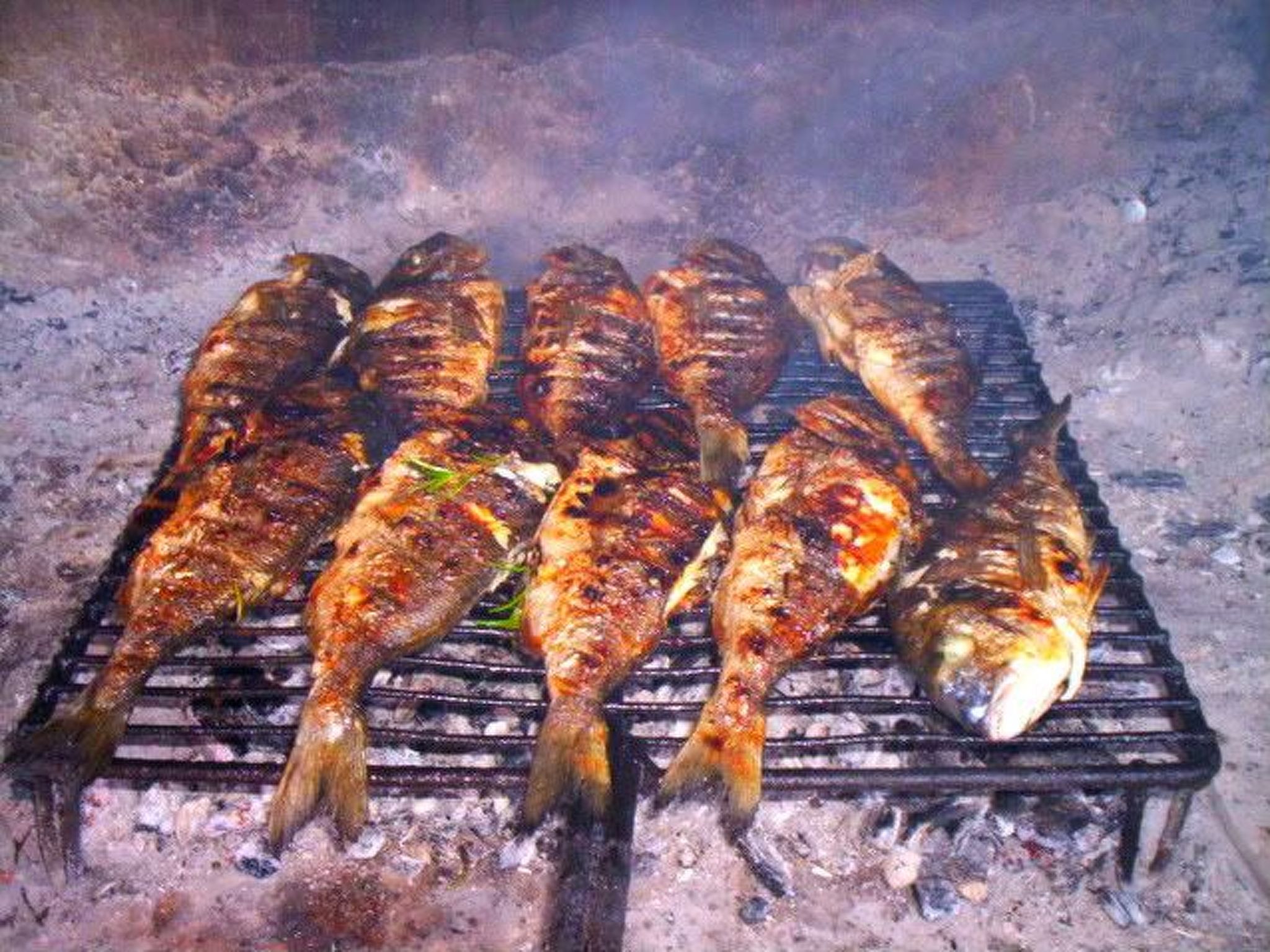 Wohnung mit Blick auf das Wasser-Image-tags.info