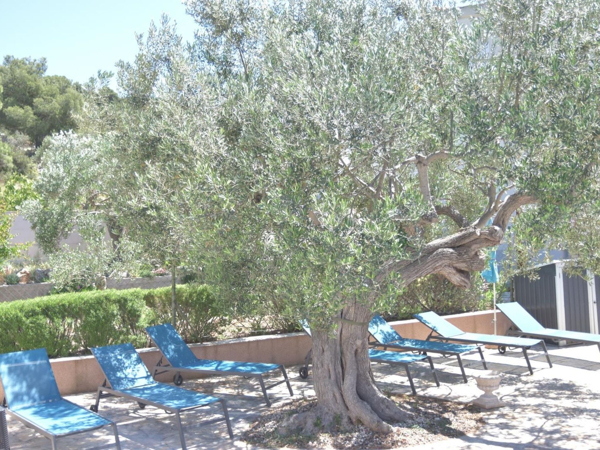 Villa Luger EG-Binnen