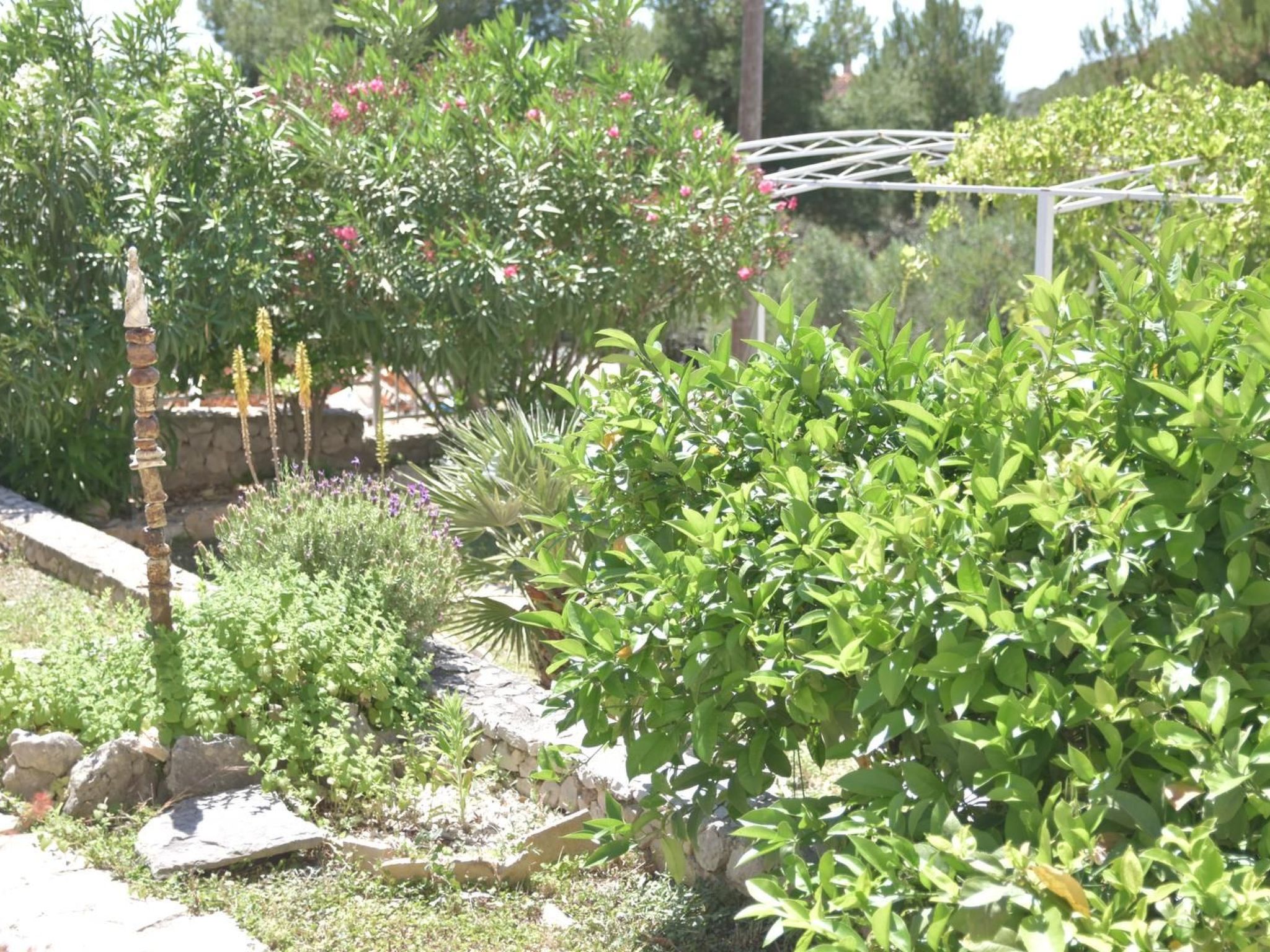 Garten Bungalow-Binnen