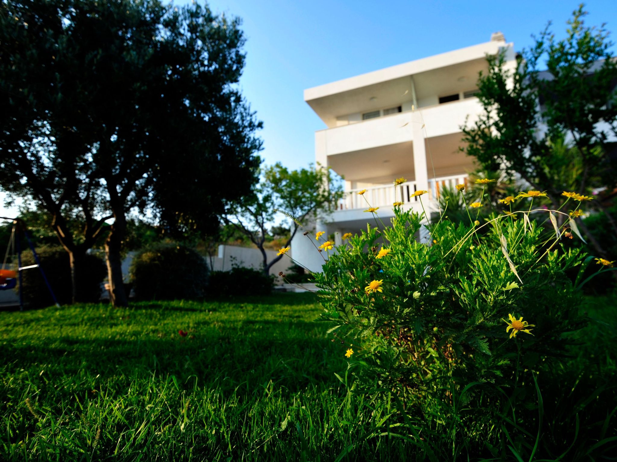 Wohnung Marina-Image-tags.info