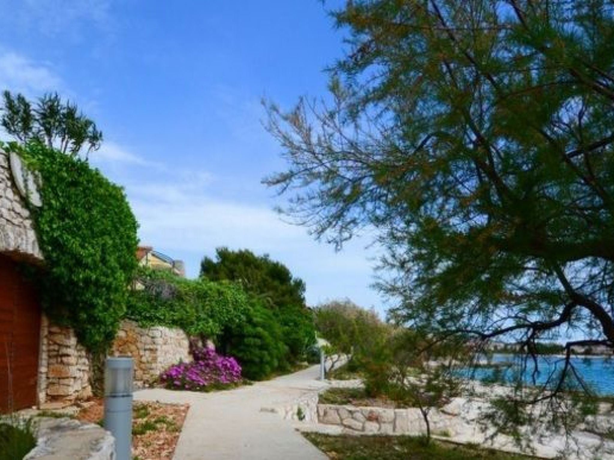 Mit Blick auf das Wasser-Image-tags.info