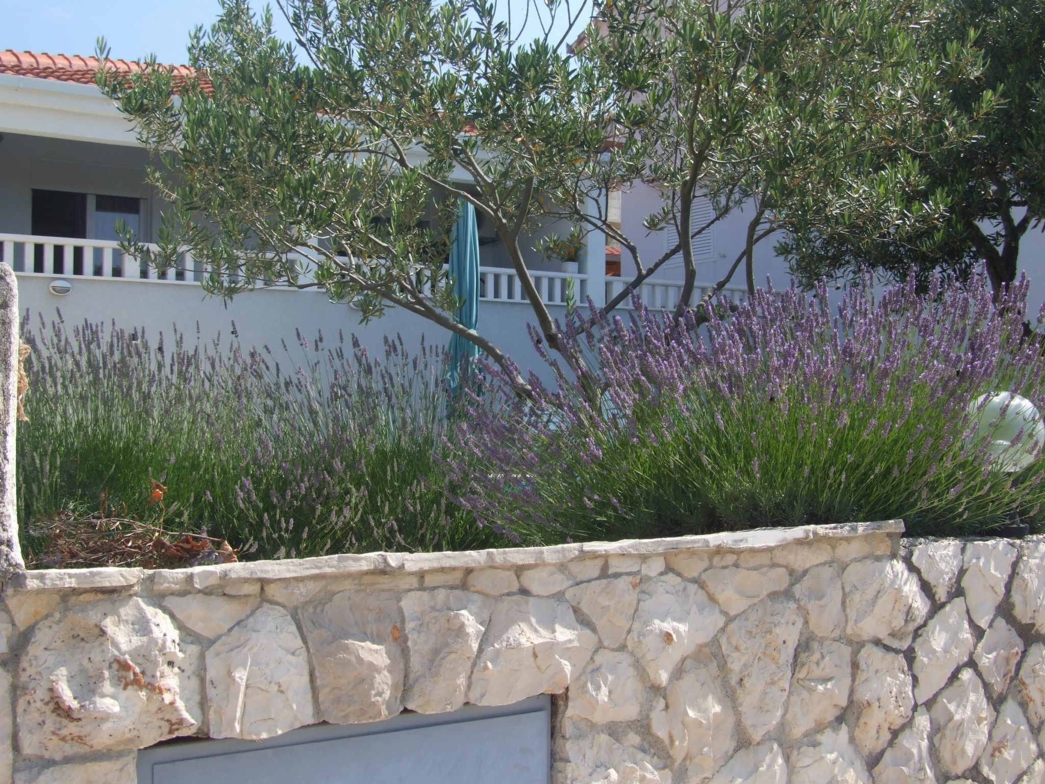 Mit Blick auf das Wasser-Buiten