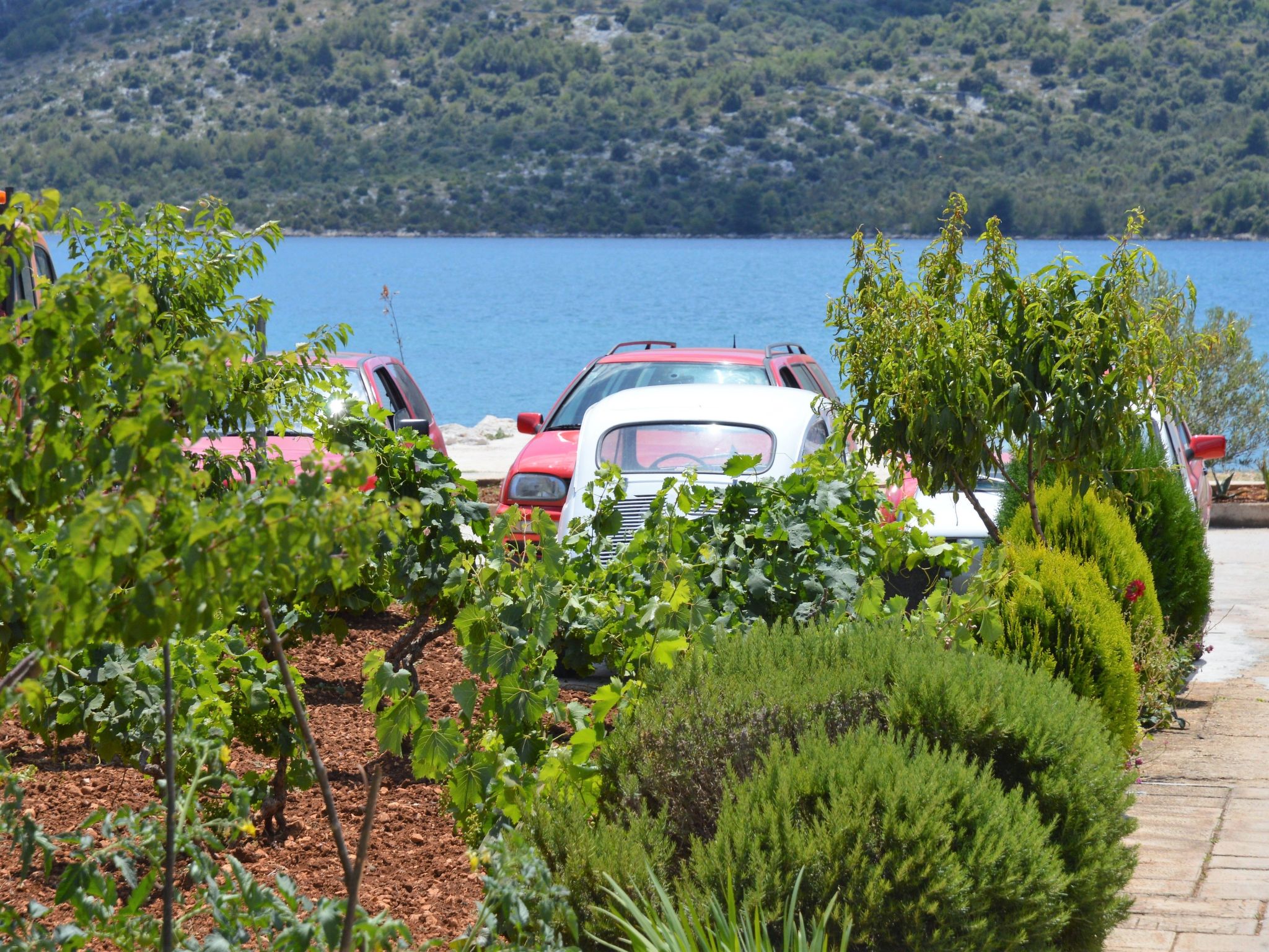 Erdgeschosswohnung, erste Reihe vom Meer-Image-tags.info