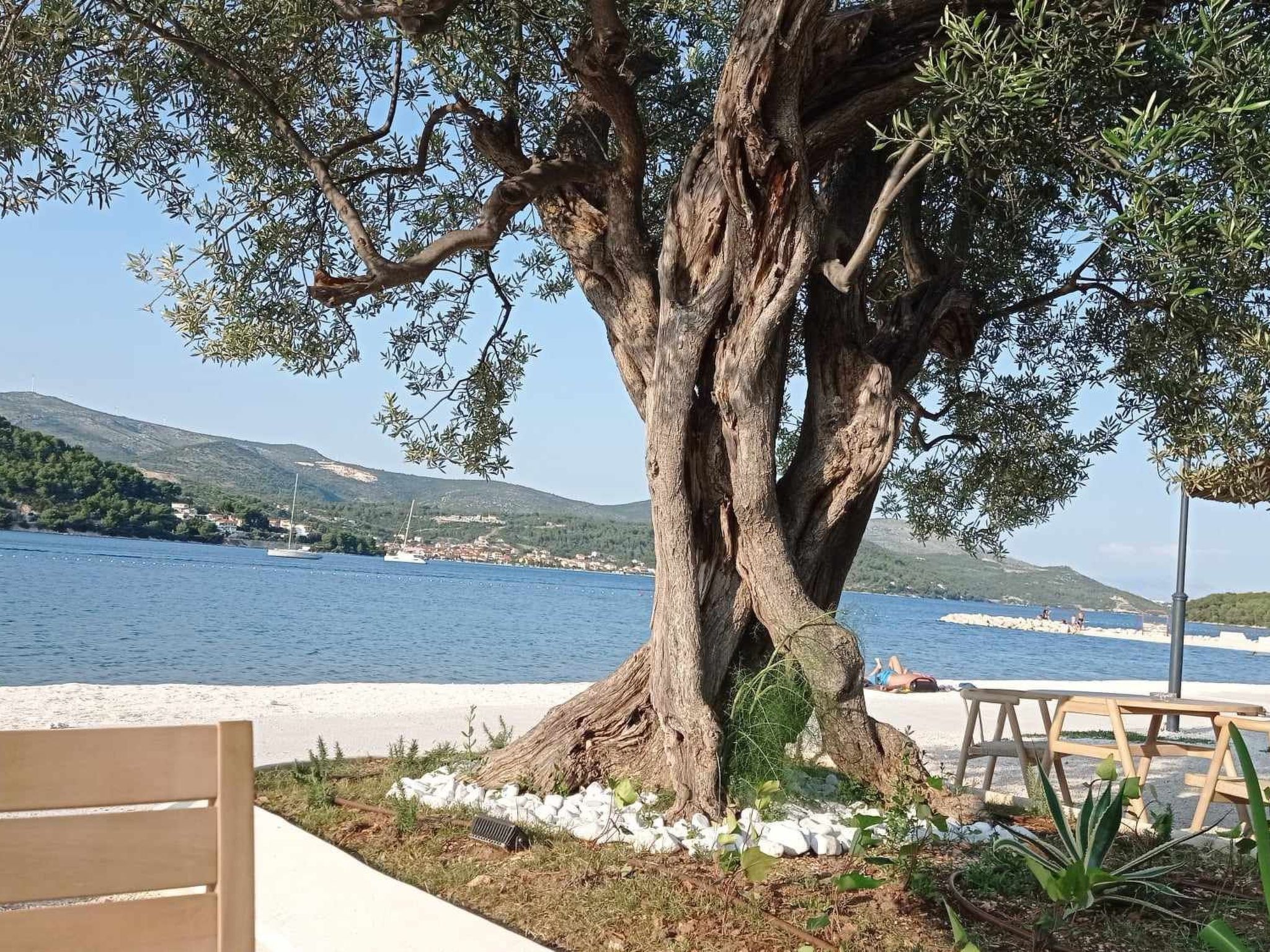 Wohnung mit Balkon-Image-tags.info