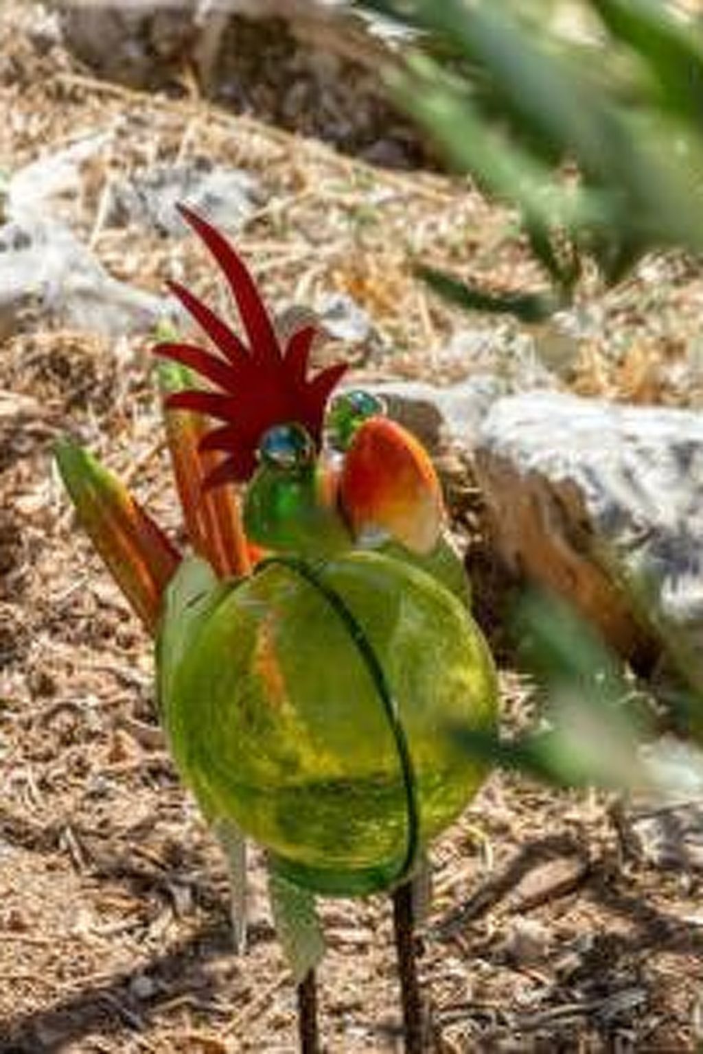 Hütte mit Garten, Grill und Terrasse