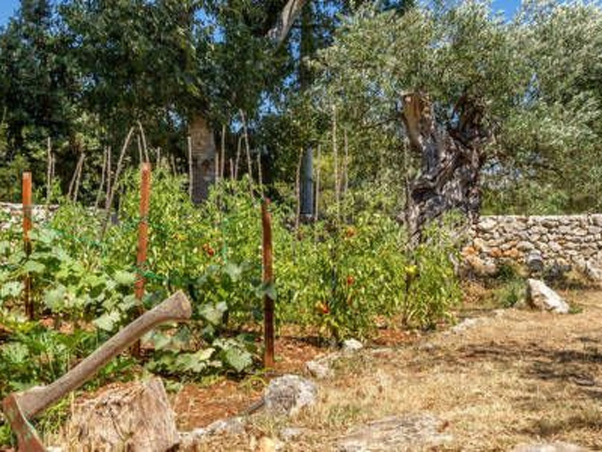 Hütte mit Garten, Grill und Terrasse-Drinnen