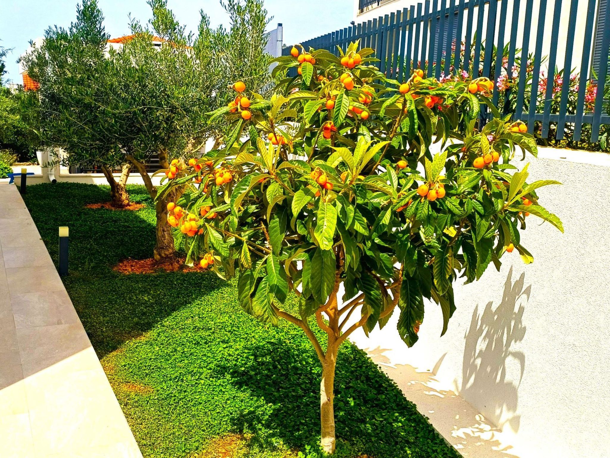 Luxuriöse Villa Dolce Vita direkt am Meer mit privatem Pool und Parkplatz-Inside