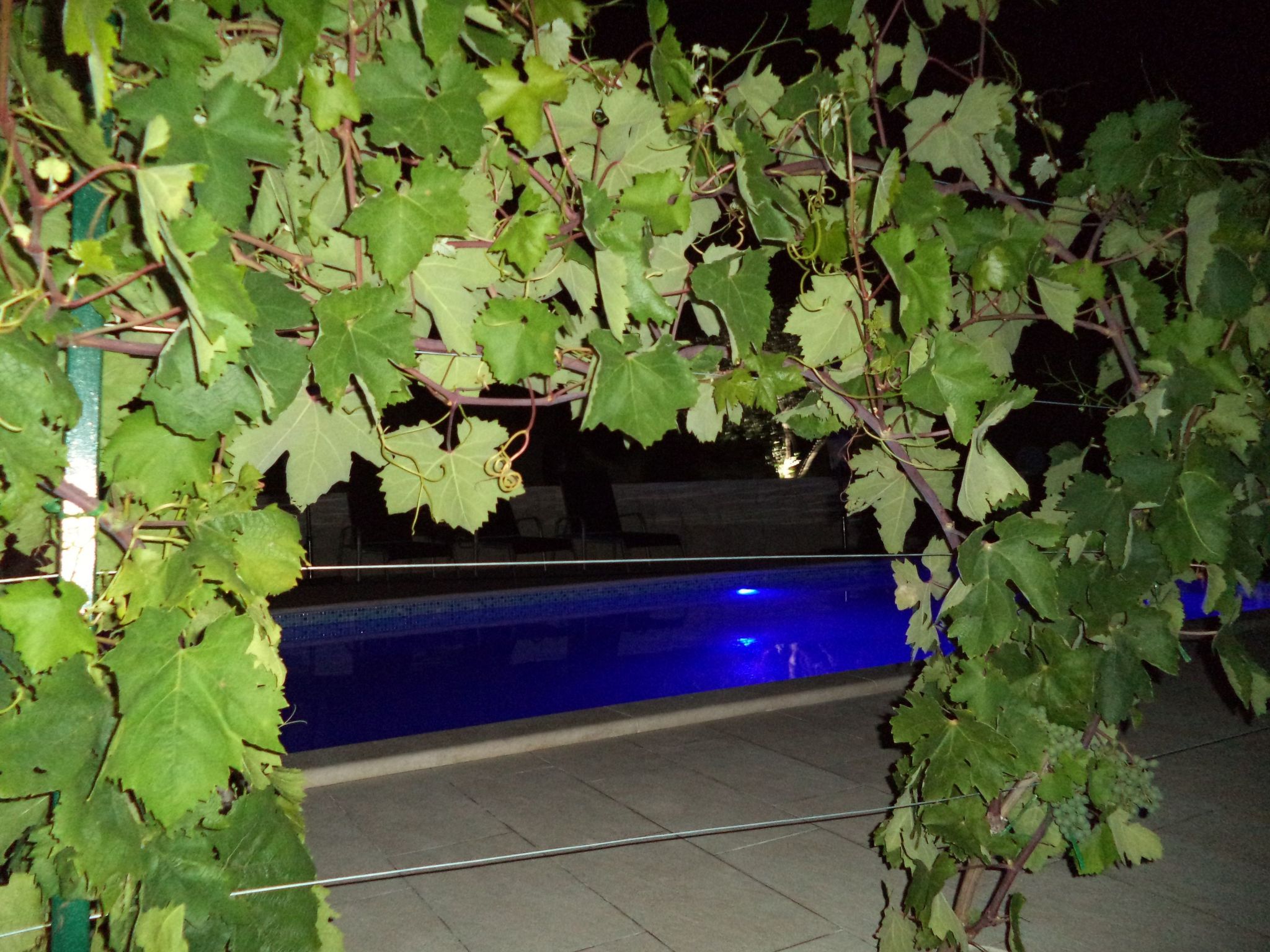 Apartments Bikić-Image-tags.info