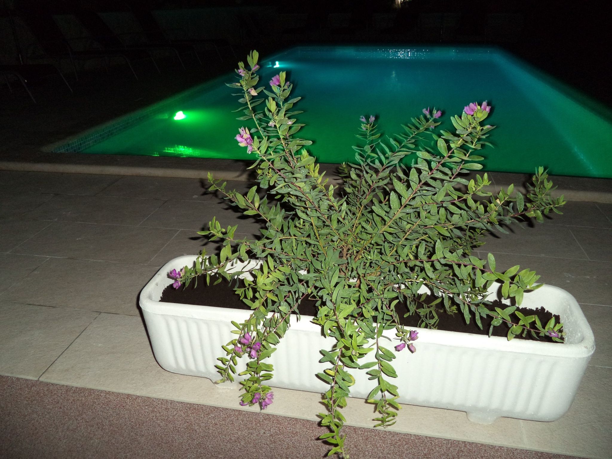 Apartments Bikić-Image-tags.info