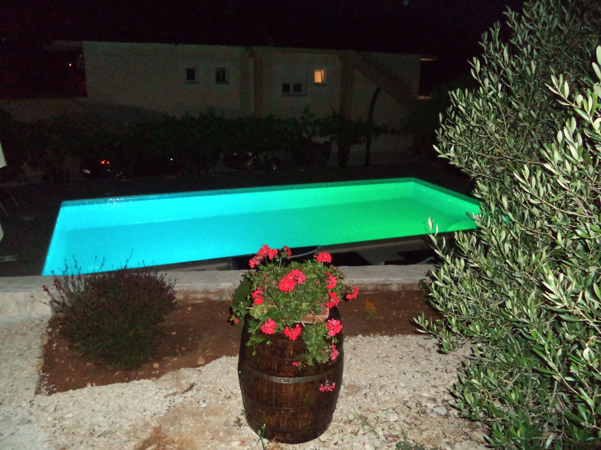 Apartments Bikić-Image-tags.info