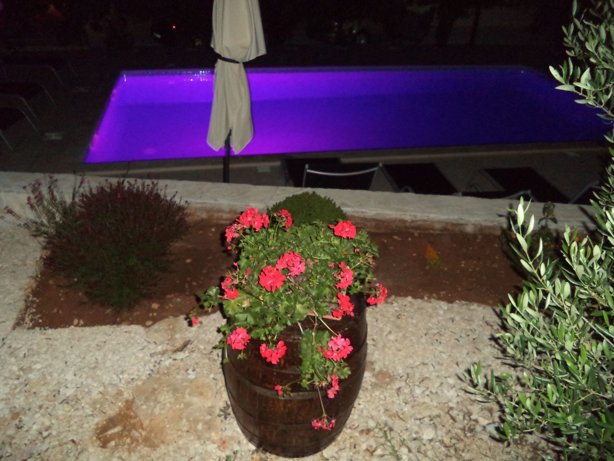 Apartments Bikić-Image-tags.info